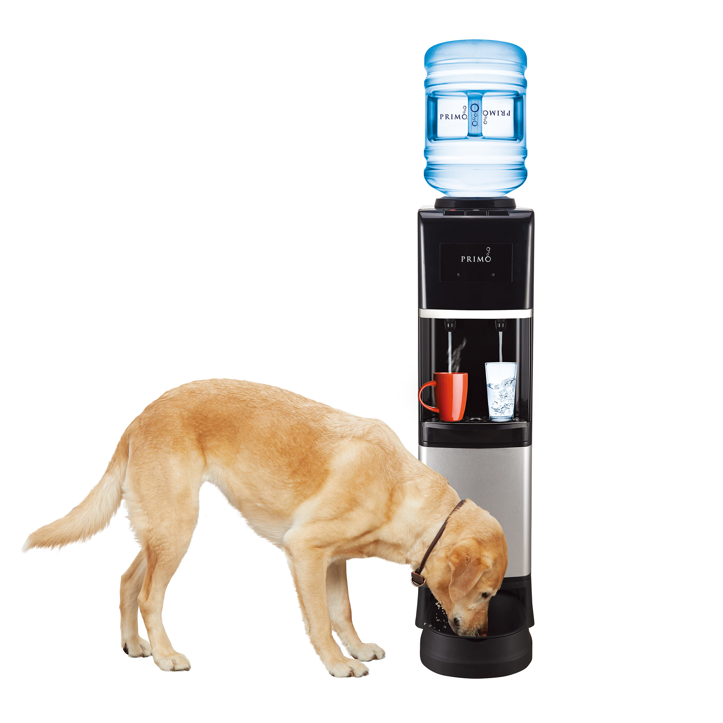 Primo Hot & Cold Top-loading Water Cooler and Pet Station