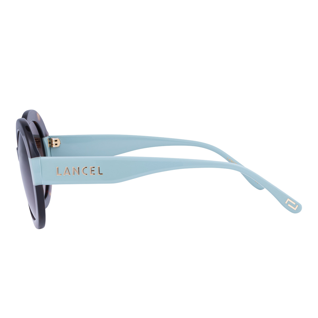 Enlarge Product Preview 3 Successfully Enriched by automation Job.