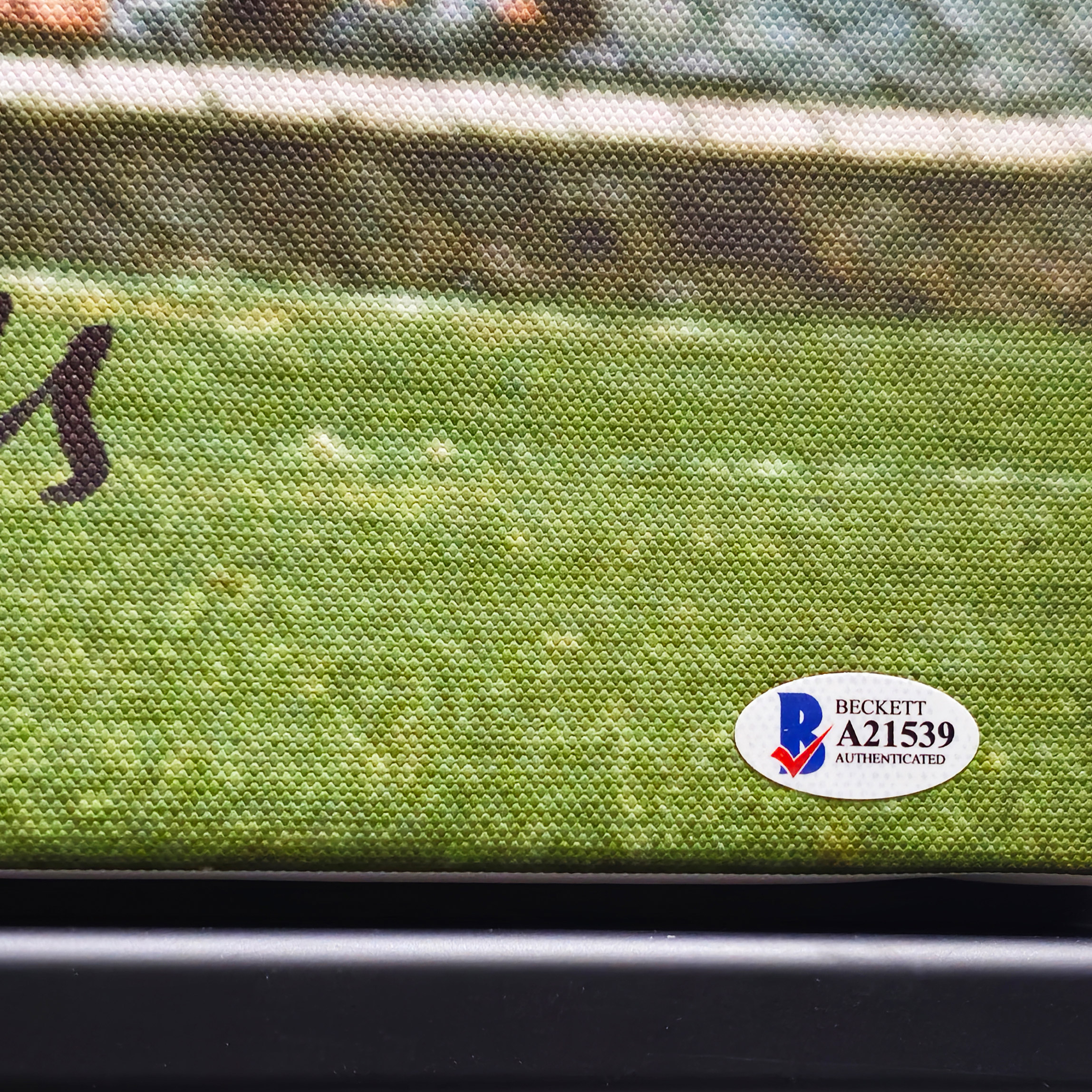 Enlarge Product Preview 4 Successfully Enriched by automation Job.