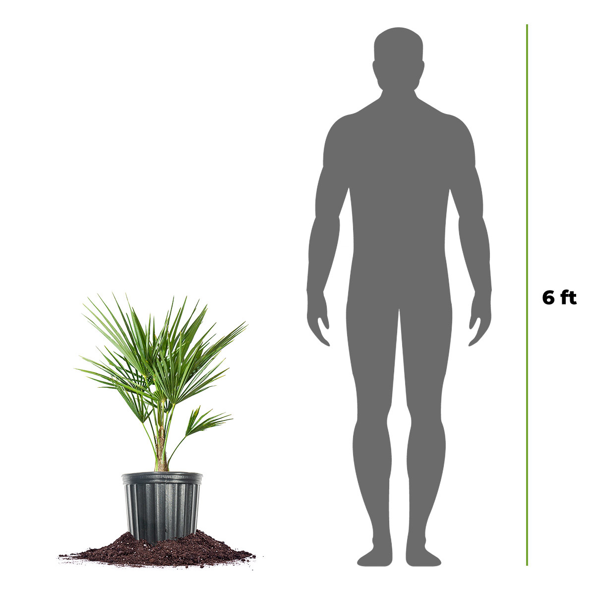 Enlarge Product Preview 2