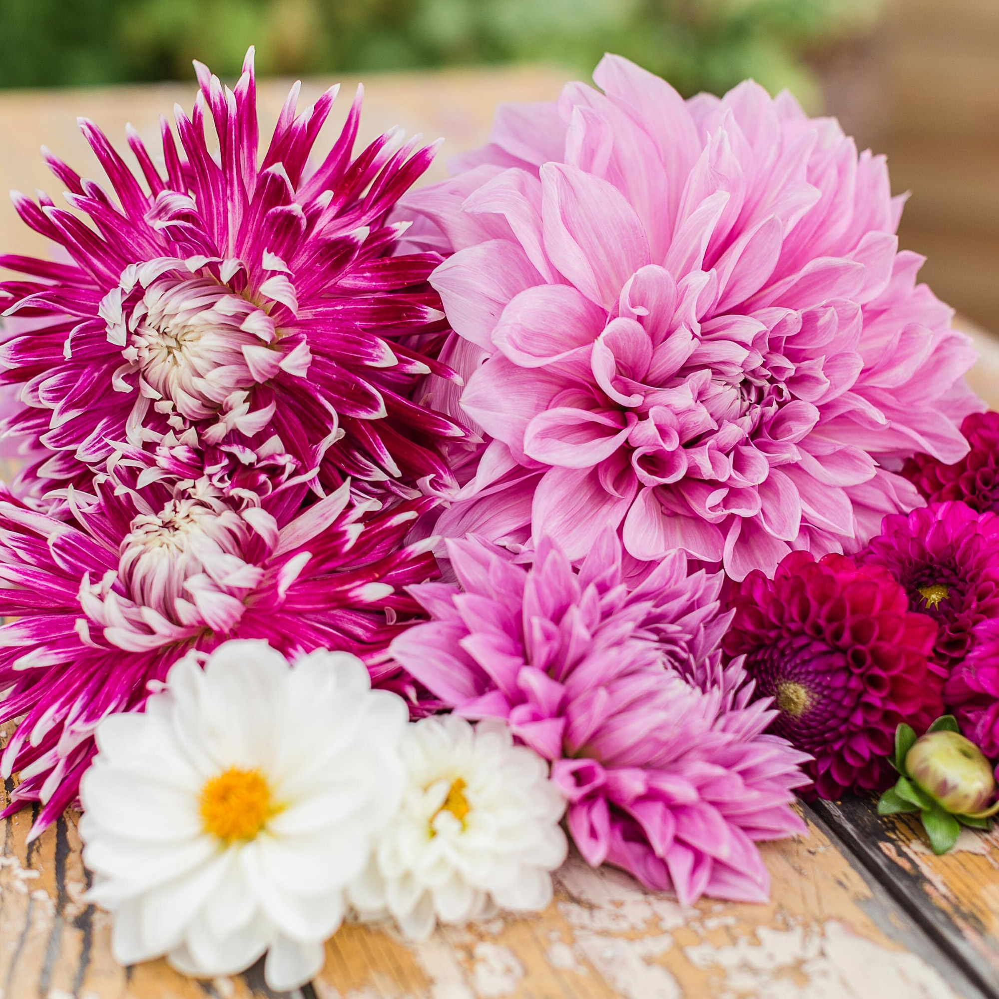 Enlarge Product Preview 4