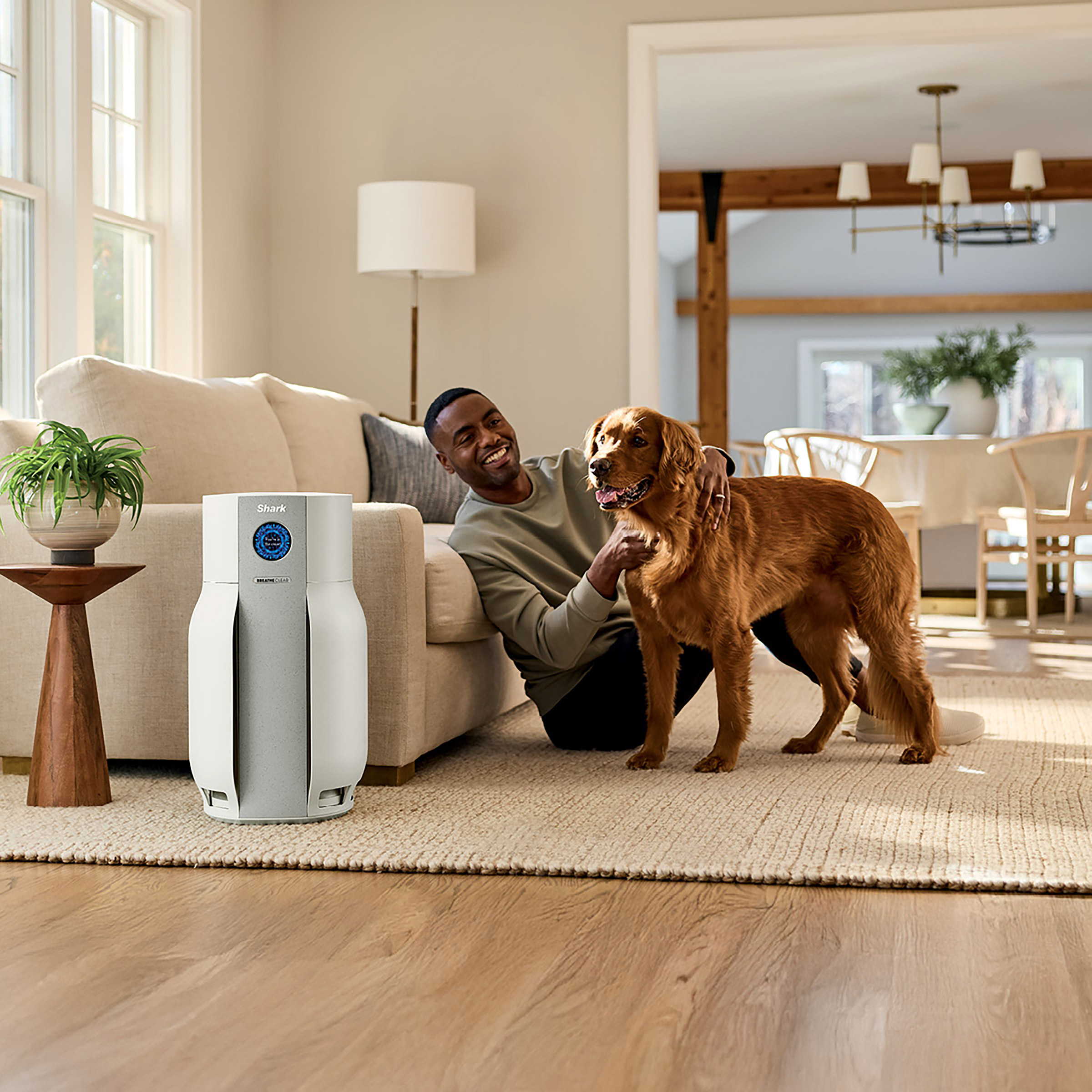 Shark NeverChange Air Purifier