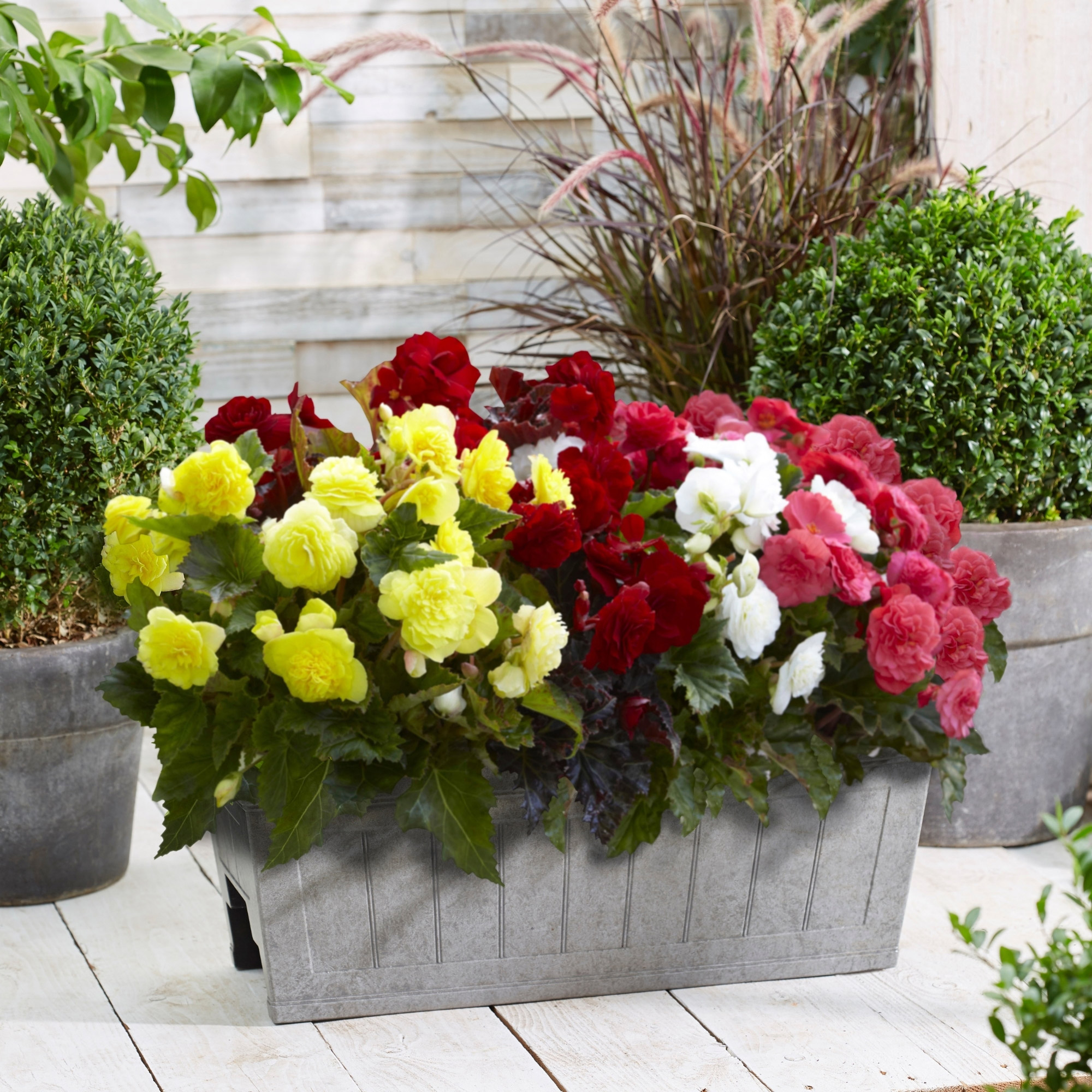 Enlarge Product Preview 3