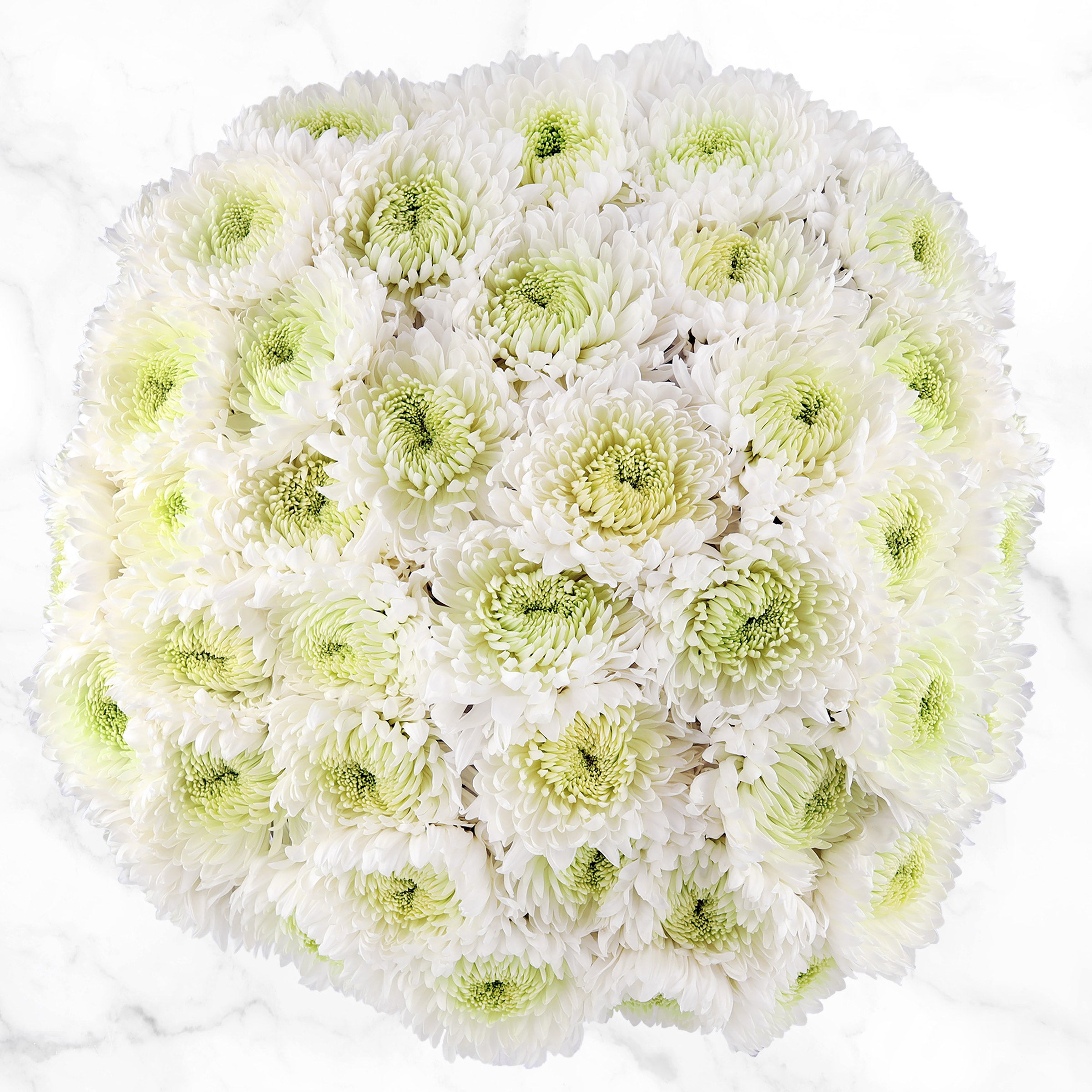 メリー花子 Super Mums Fresh Cut Floral Bouquet, 60-stems | Costco