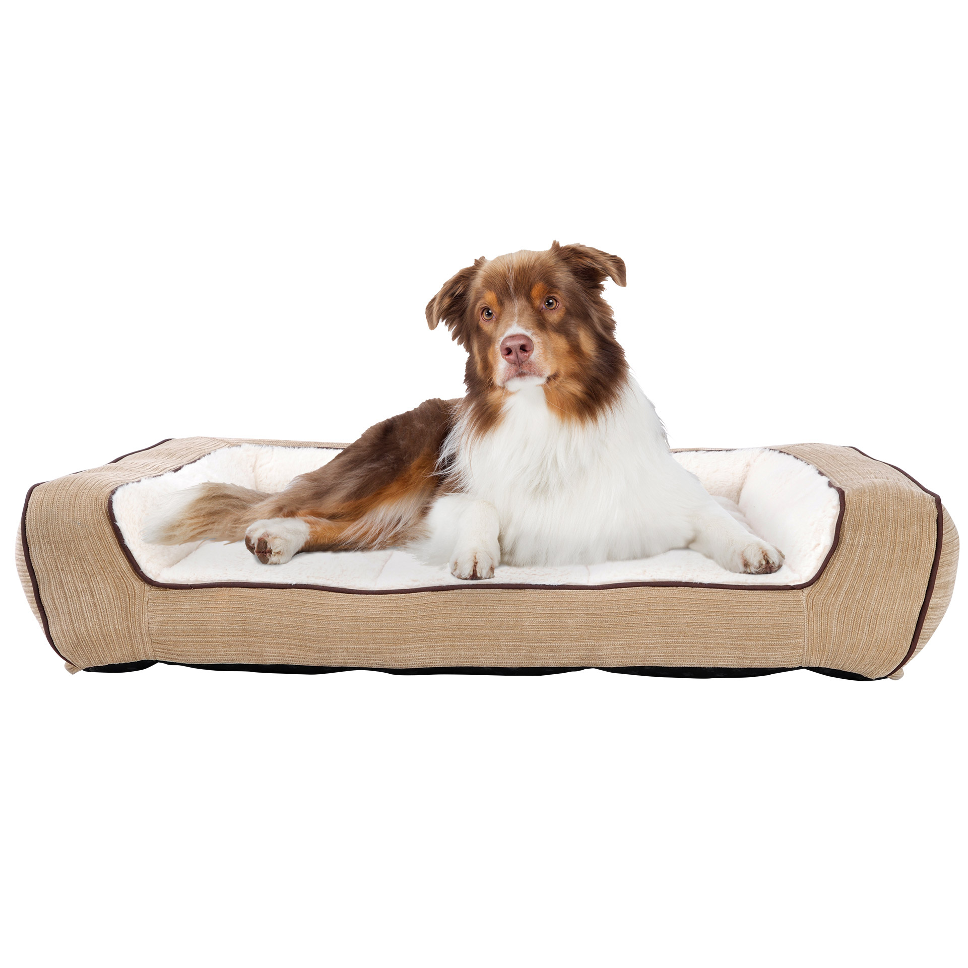 Lounge & Co. Ace Pet Bed