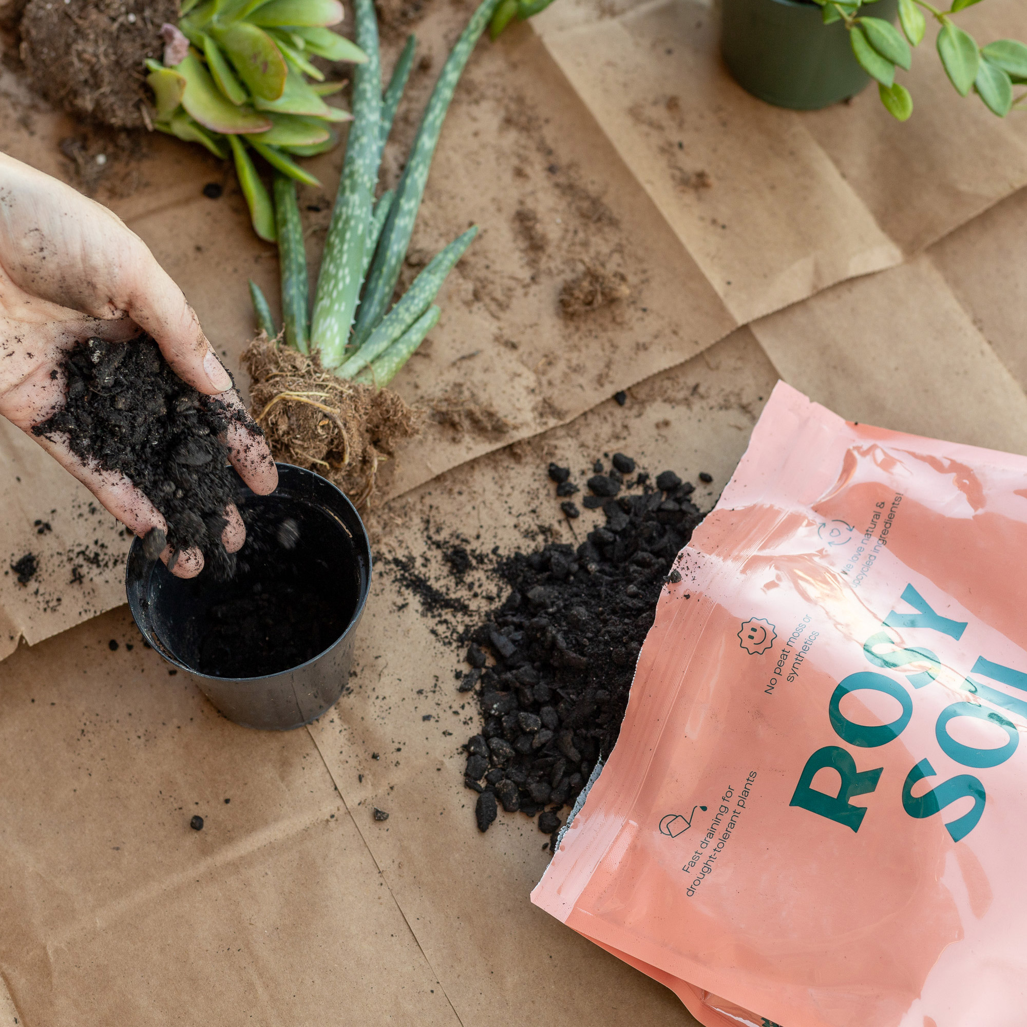 Enlarge Product Preview 3 Successfully Enriched by automation Job.