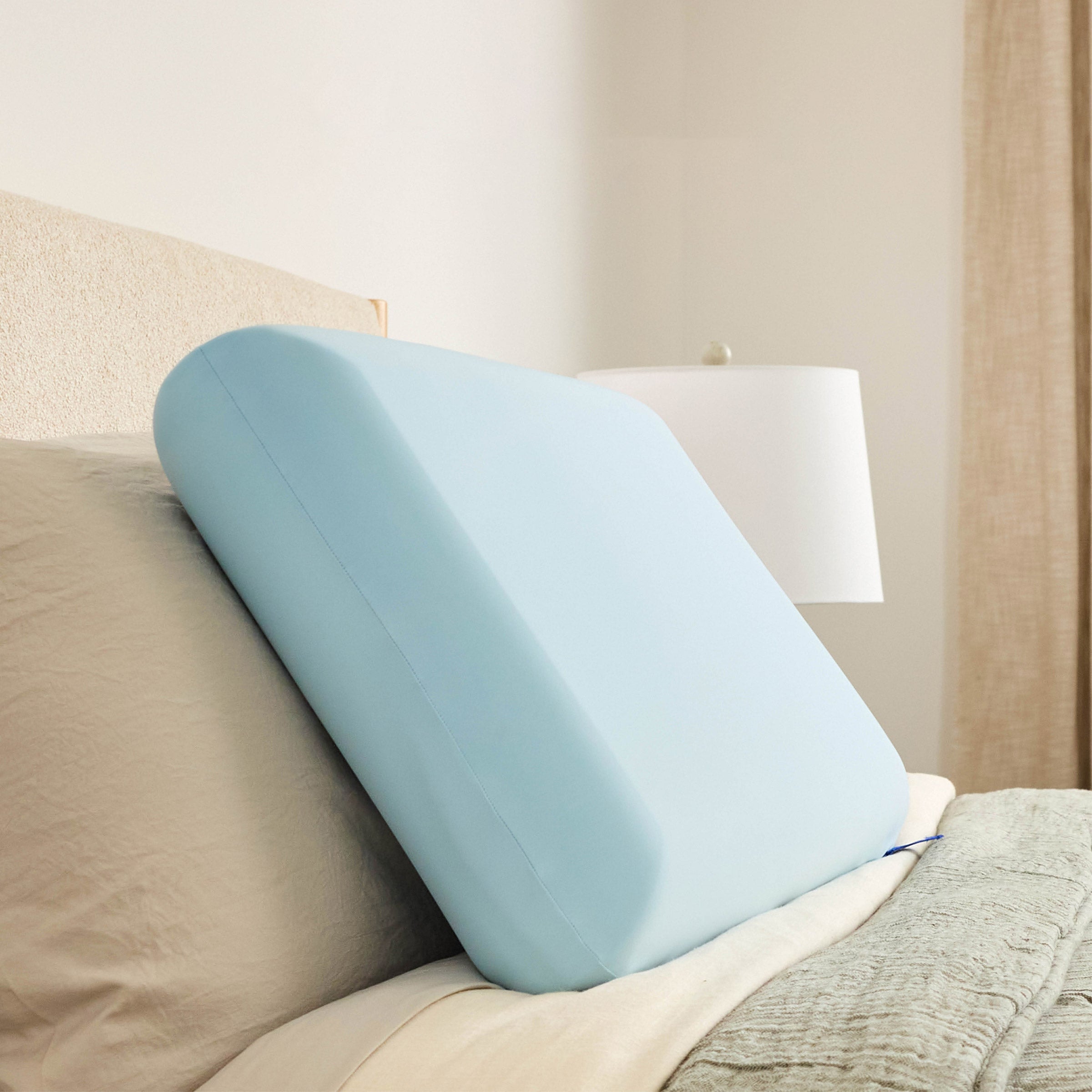 Sealy Posturepedic Dual Support Memory Foam Pillow | Costco