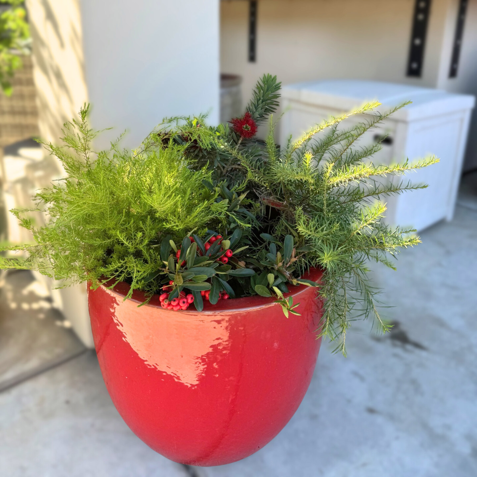 Enlarge Product Preview 3 Successfully Enriched by automation Job.