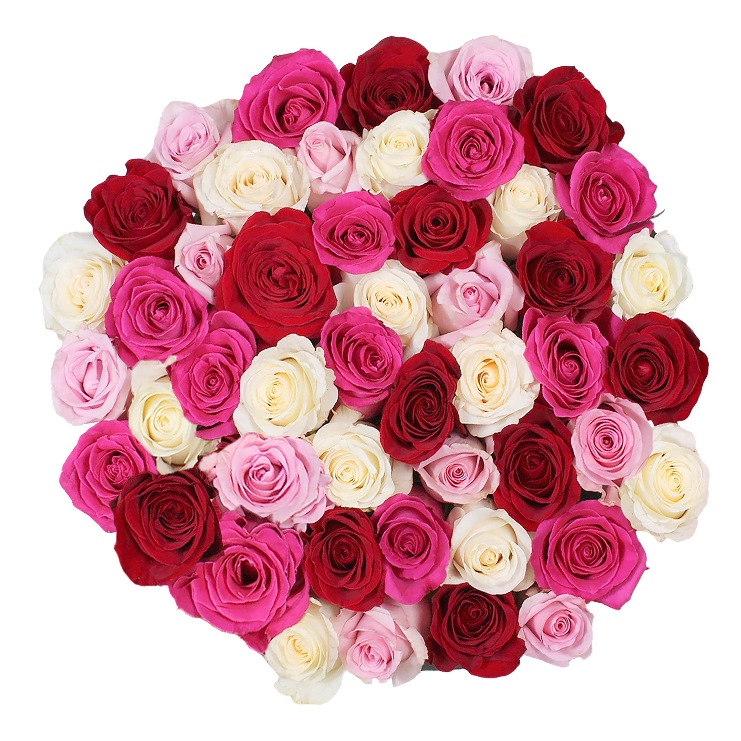 Roses, 48 Stems - Shades of Pink