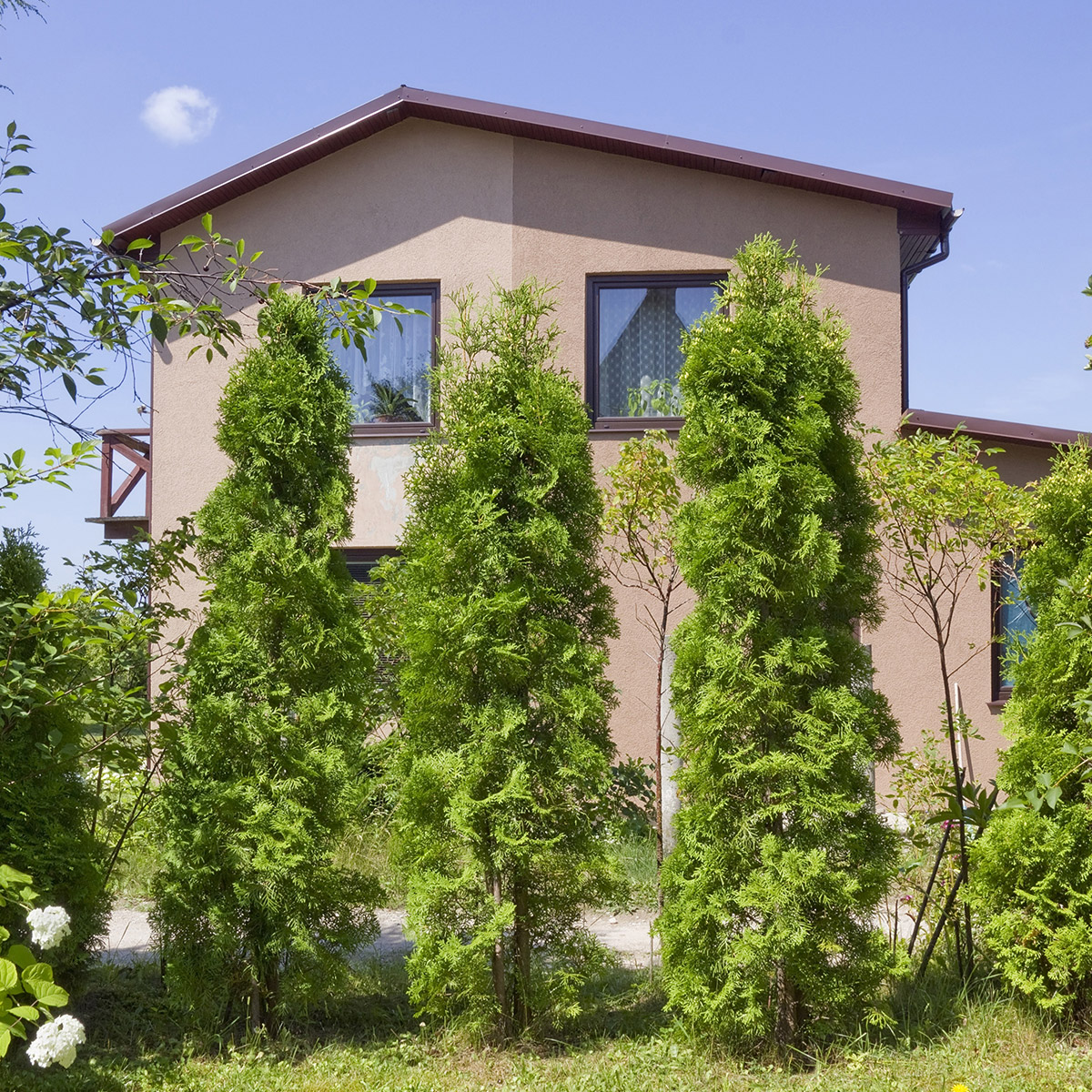 Enlarge Product Preview 4