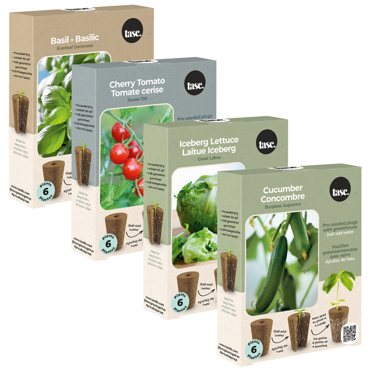 Salad Night Seed Plug Pack – 4 kits 