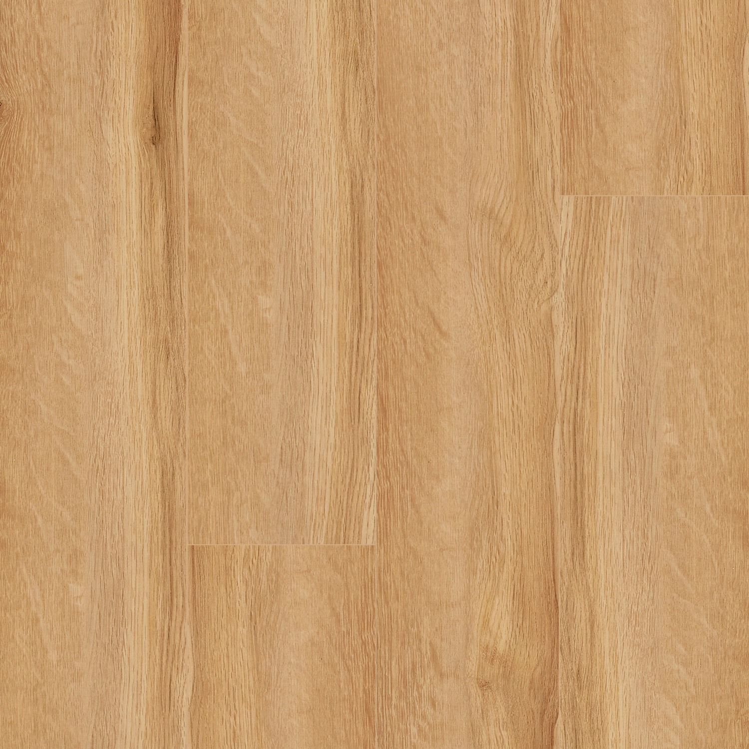 Enlarge Product Preview 6