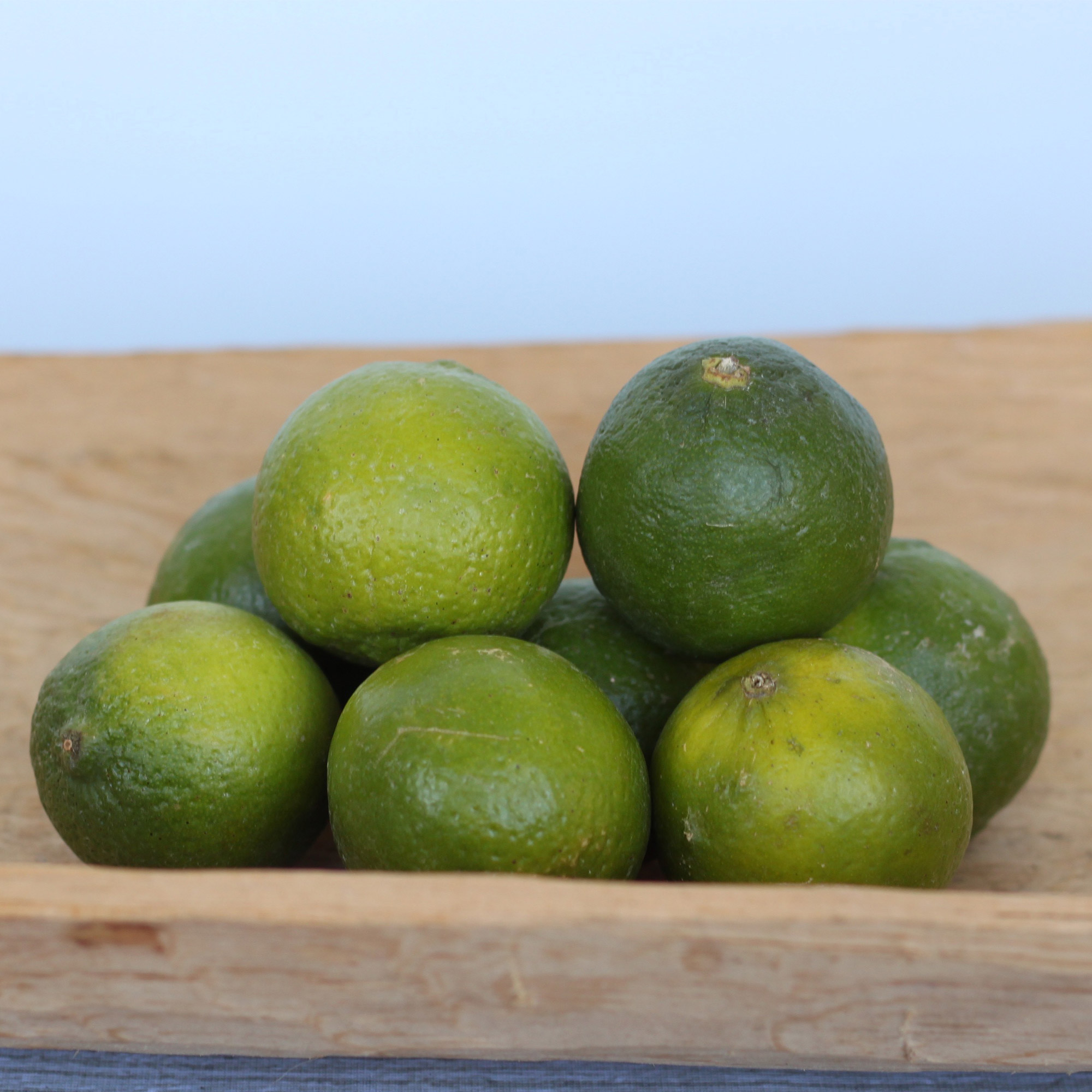 Enlarge Product Preview 5