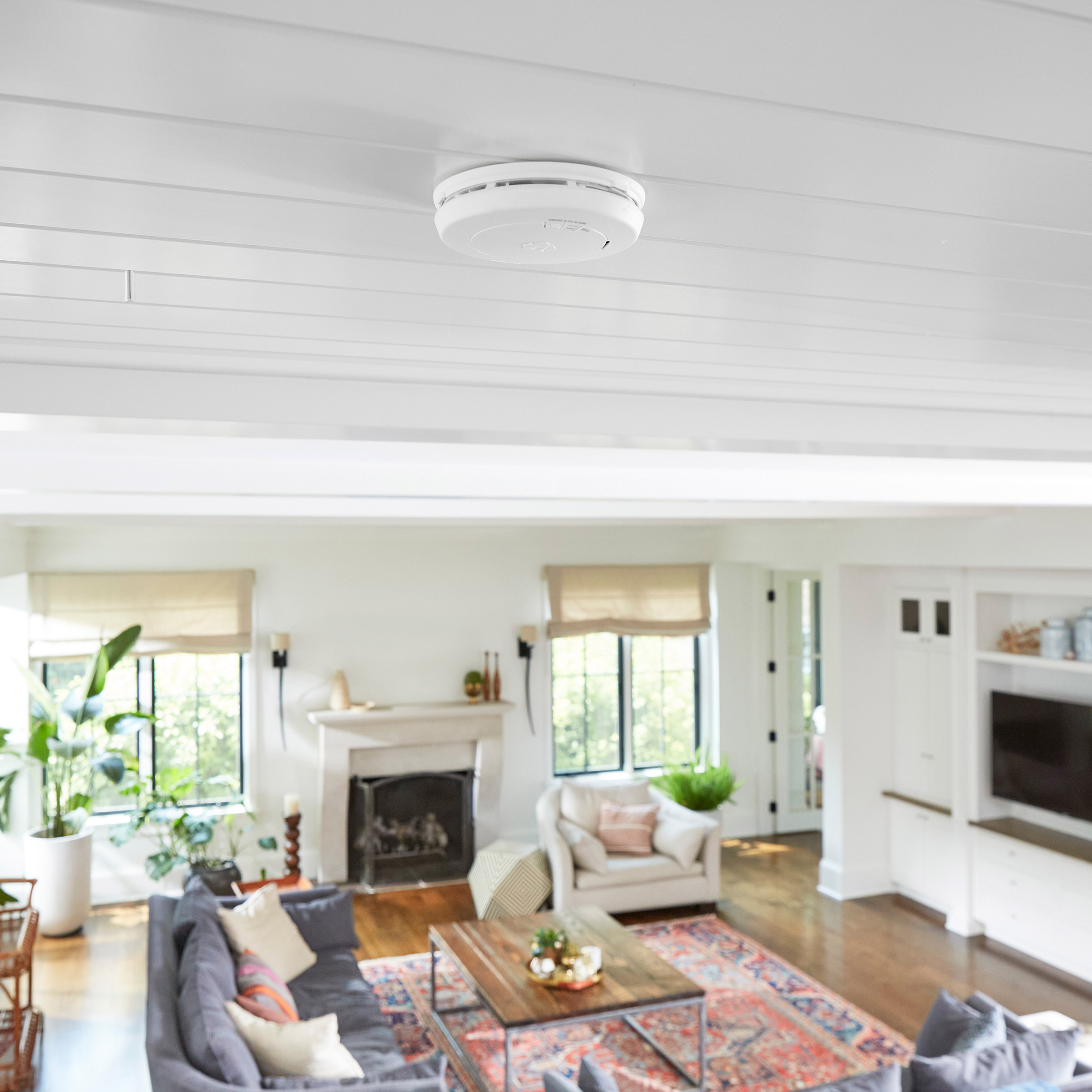 Enlarge Product Preview 5 Automation Job: Item or Product number could not be derived from the asset name.