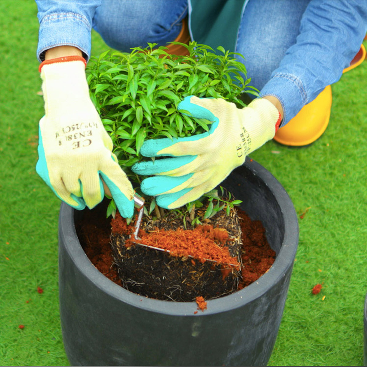 Enlarge Product Preview 5