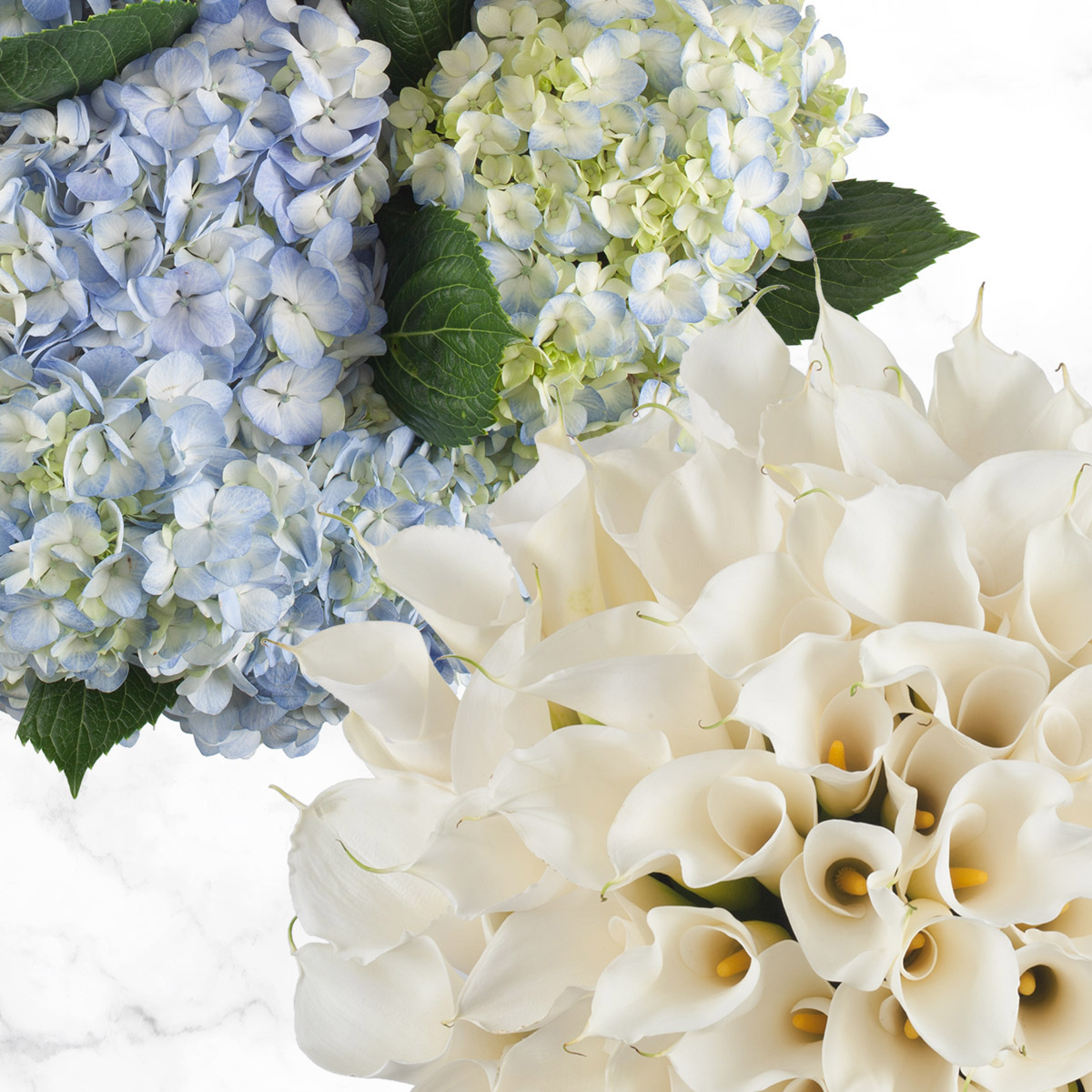 40-stem Calla Lilies and 20-stem Hydrangea