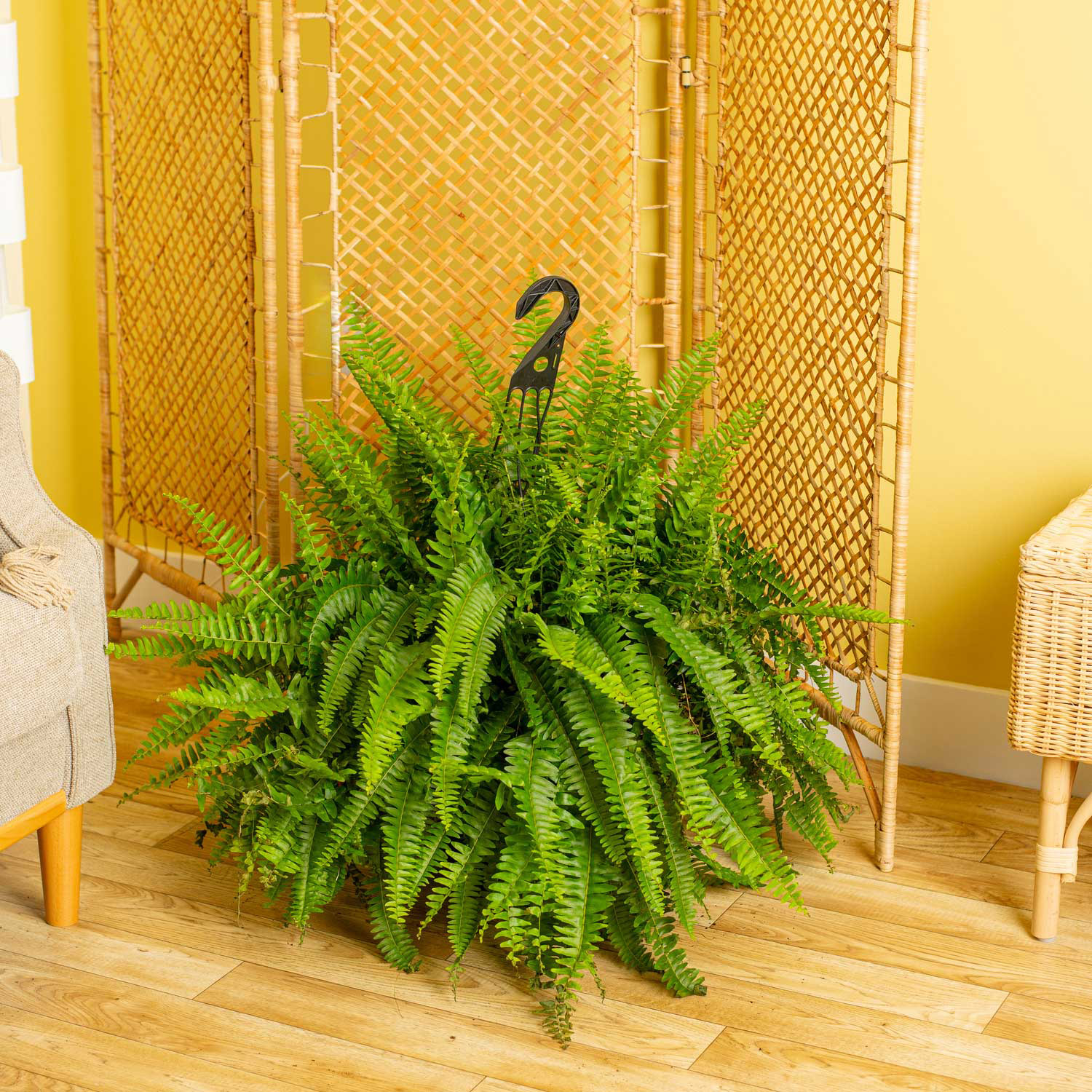 Enlarge Product Preview 2 Successfully Enriched by automation Job.