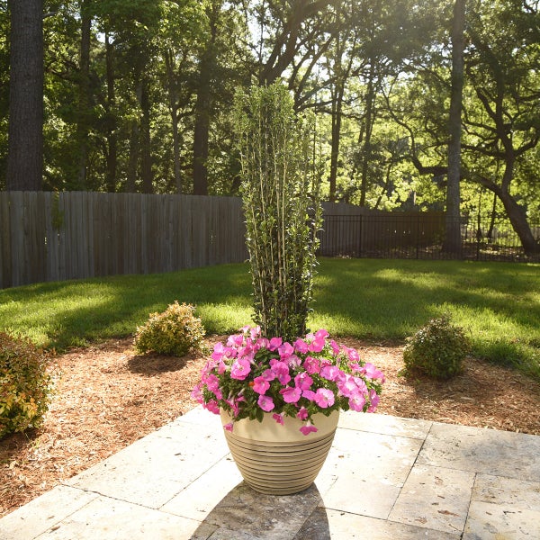 1 Gal. Home Garden Collection, 8 Pack | Costco 1 Gal. Home Garden Collection, 8 Pack | Costco