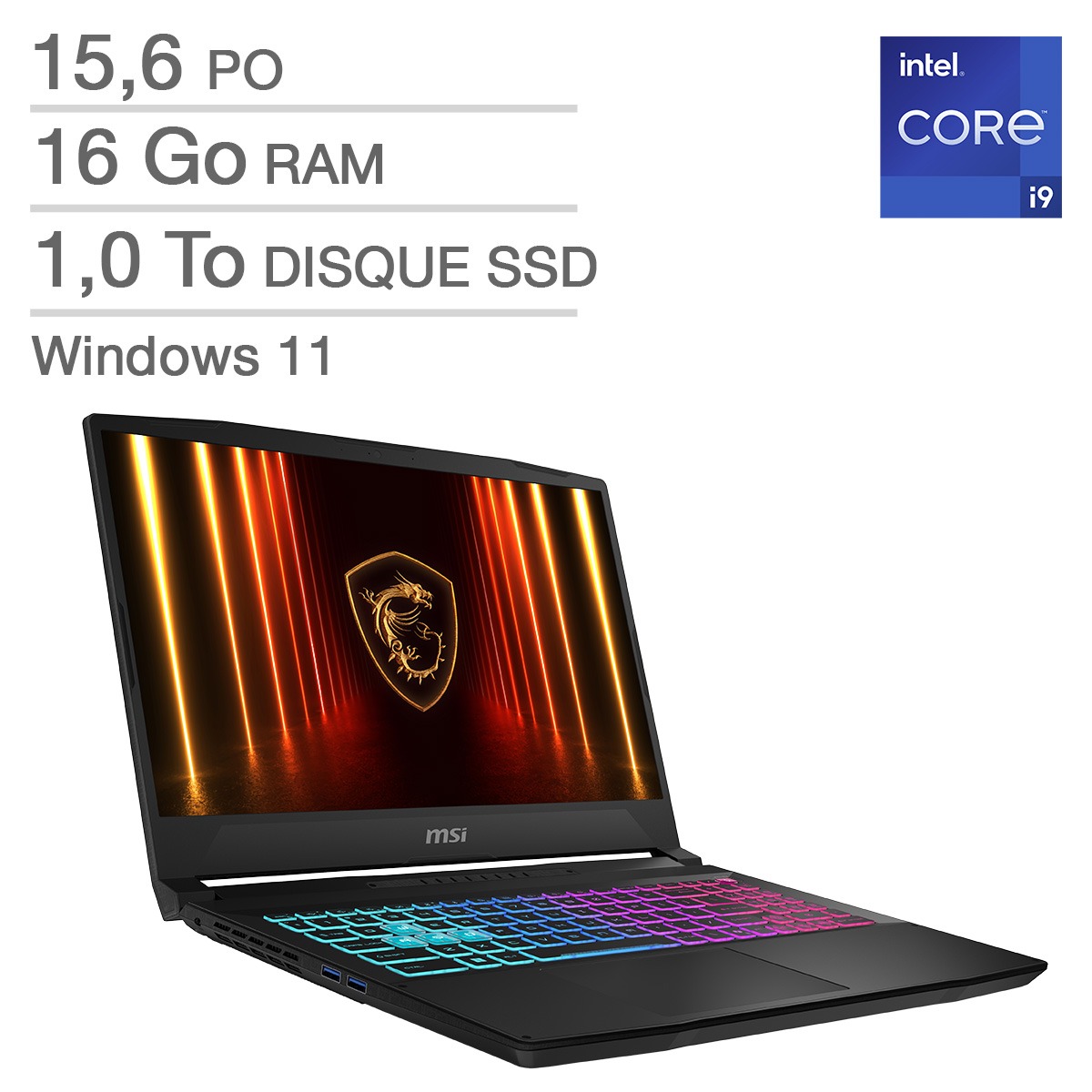 MSI Katana 15 HX - Ordinateur portable de jeux de 15,6 po, Intel Core i9-14900HX - 16 Go RAM, 1 To SSD, NVIDIA GeForce RTX 5060 de 8 Go