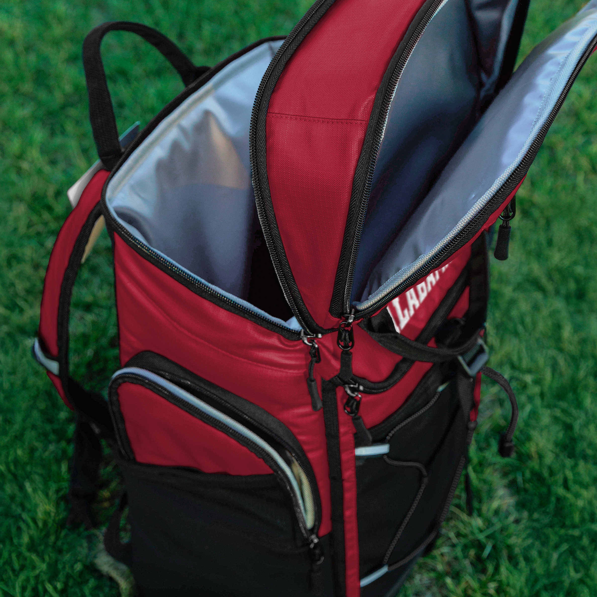 Enlarge Product Preview 3 Successfully Enriched by automation Job.