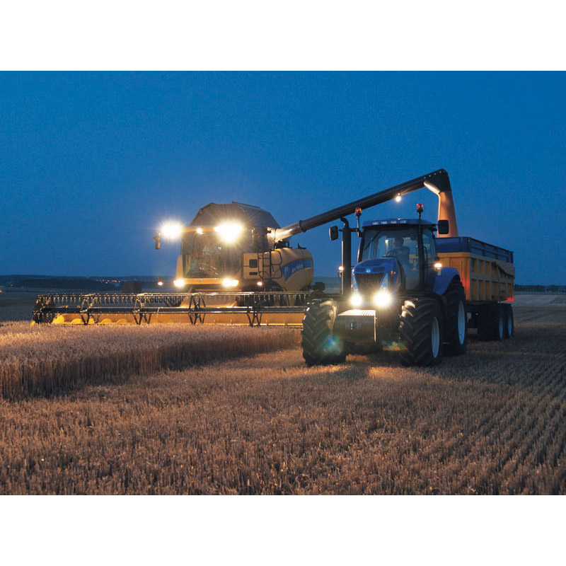 Enlarge Product Preview 6