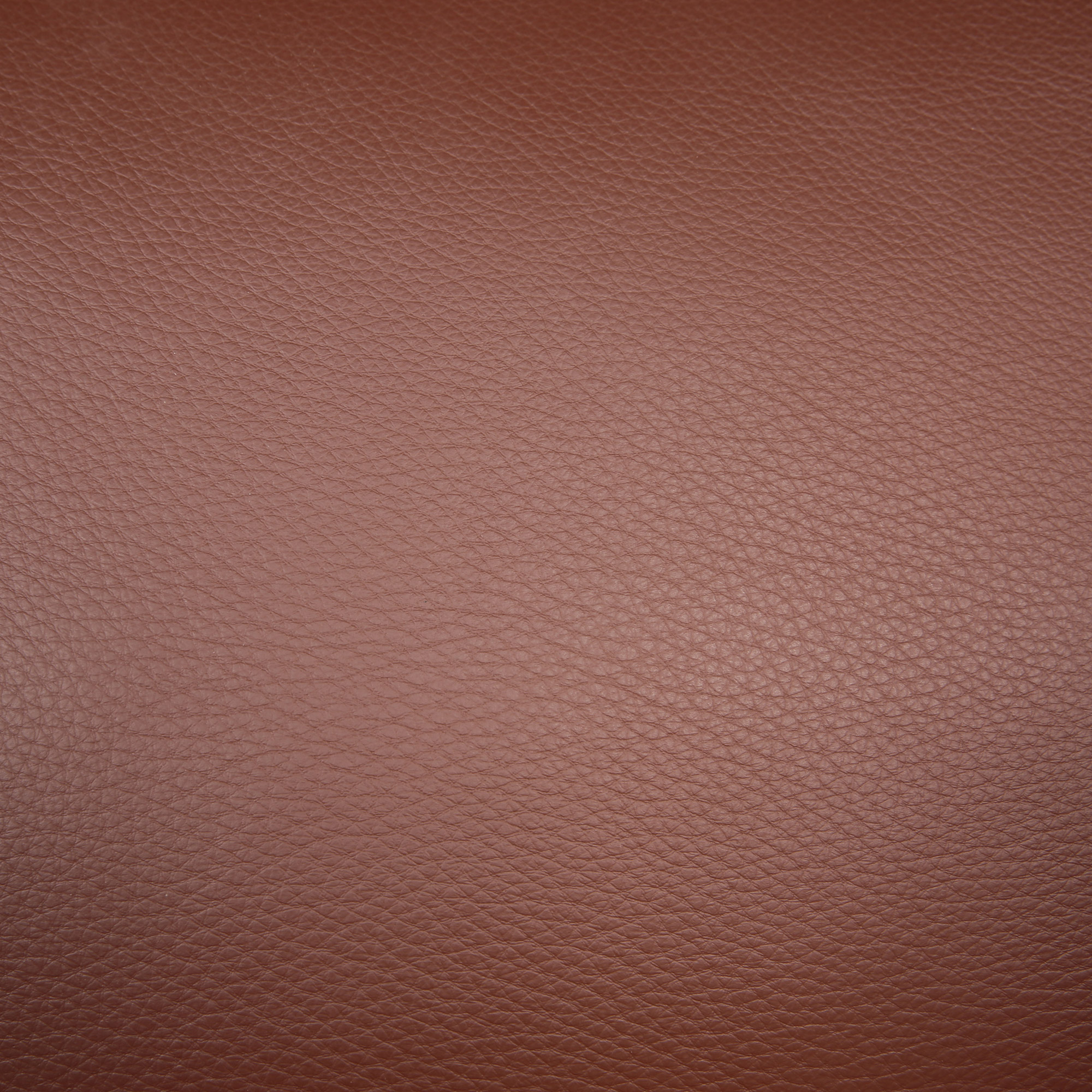 Enlarge Product Preview 6 Successfully Enriched by automation Job.