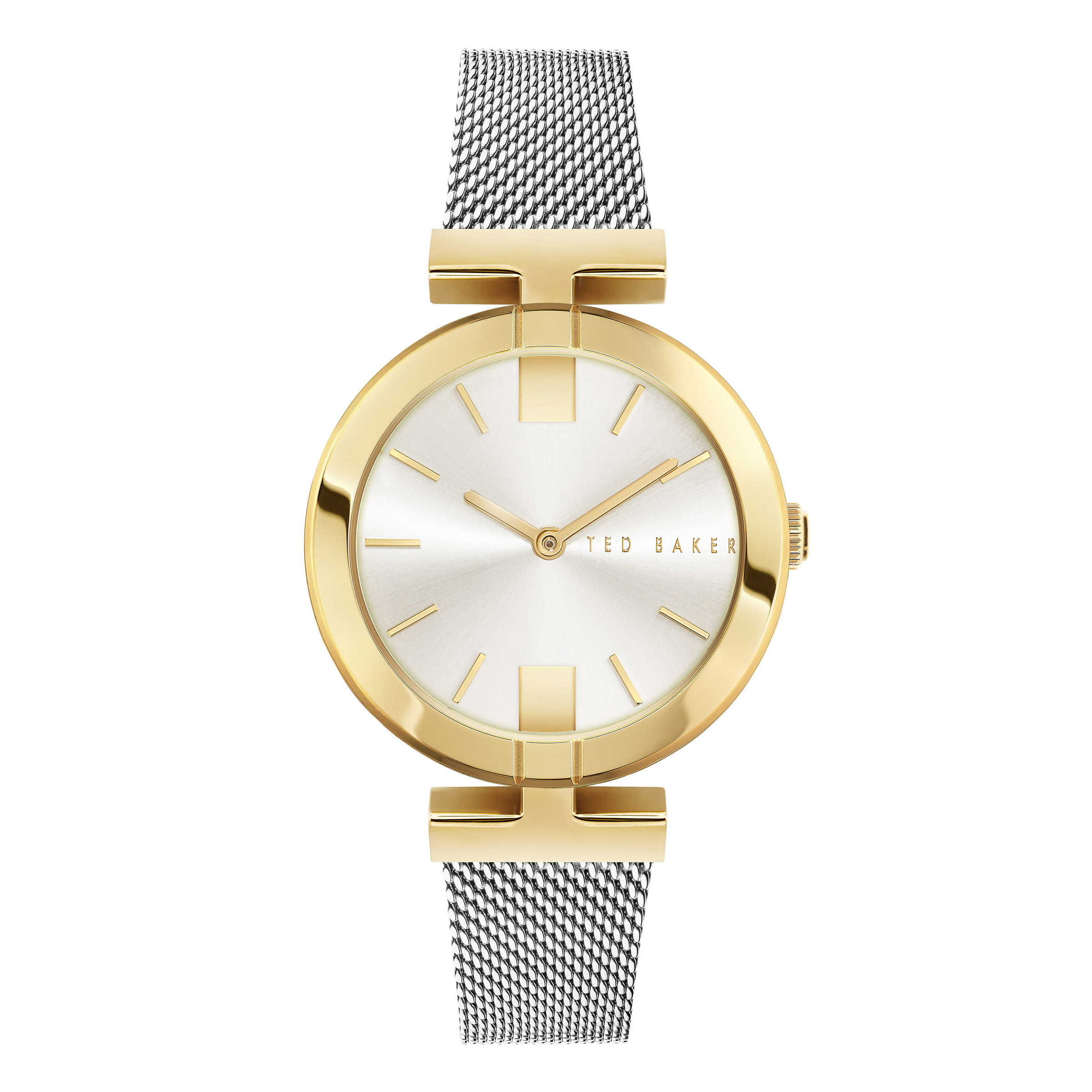 Ted Baker Darbey Silver Dial Ladies Watch
