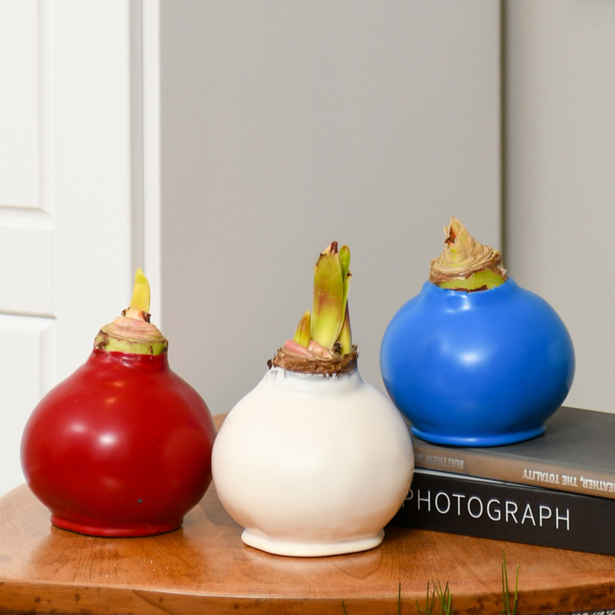 Enlarge Product Preview 3 Successfully Enriched by automation Job.