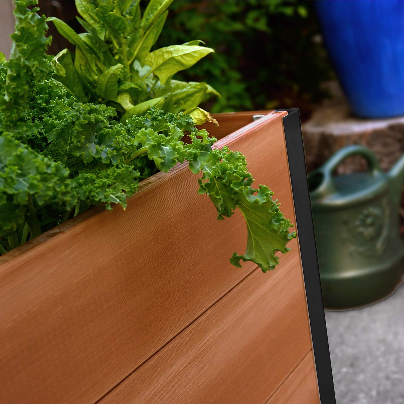 Enlarge Product Preview 2