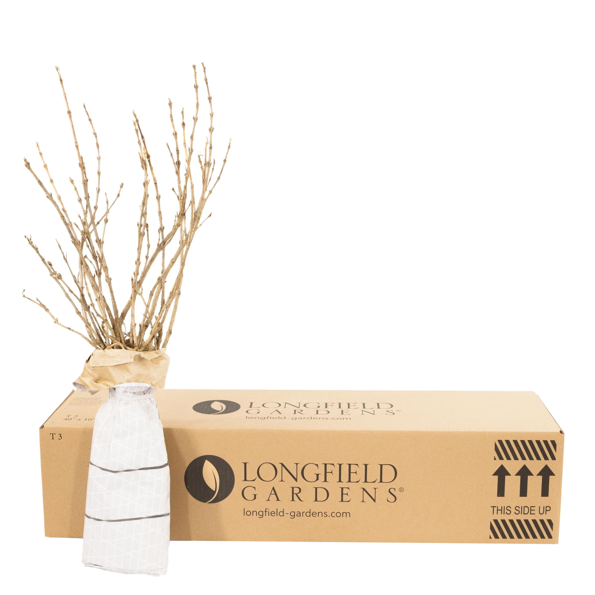 Enlarge Product Preview 7