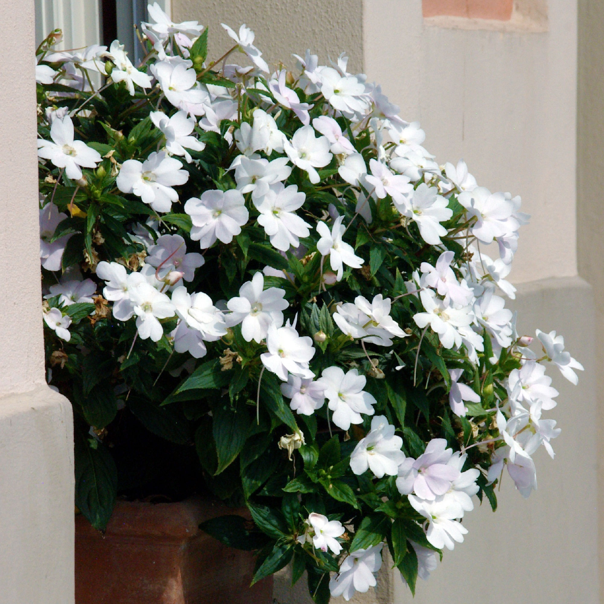 Enlarge Product Preview 4