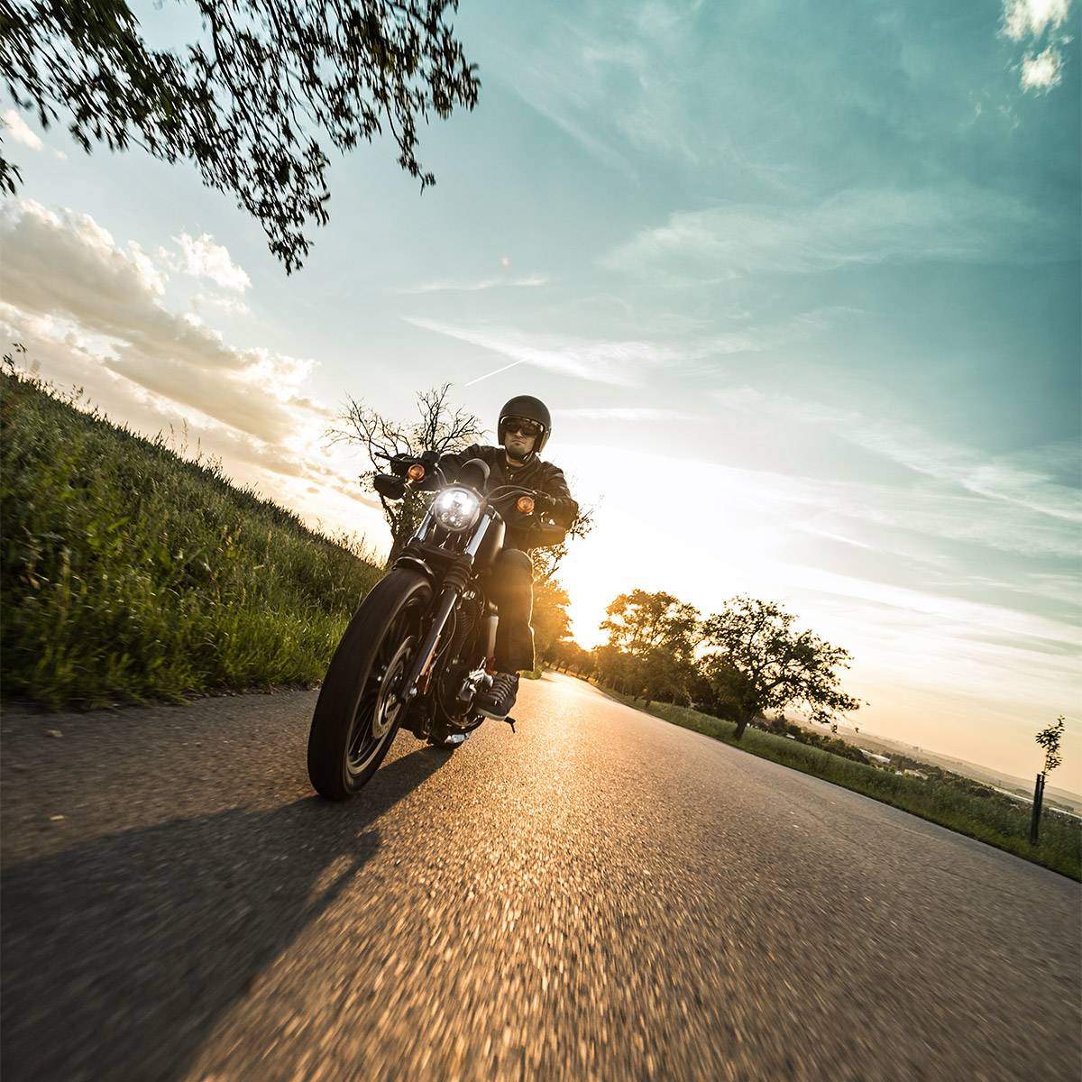 Enlarge Product Preview 4