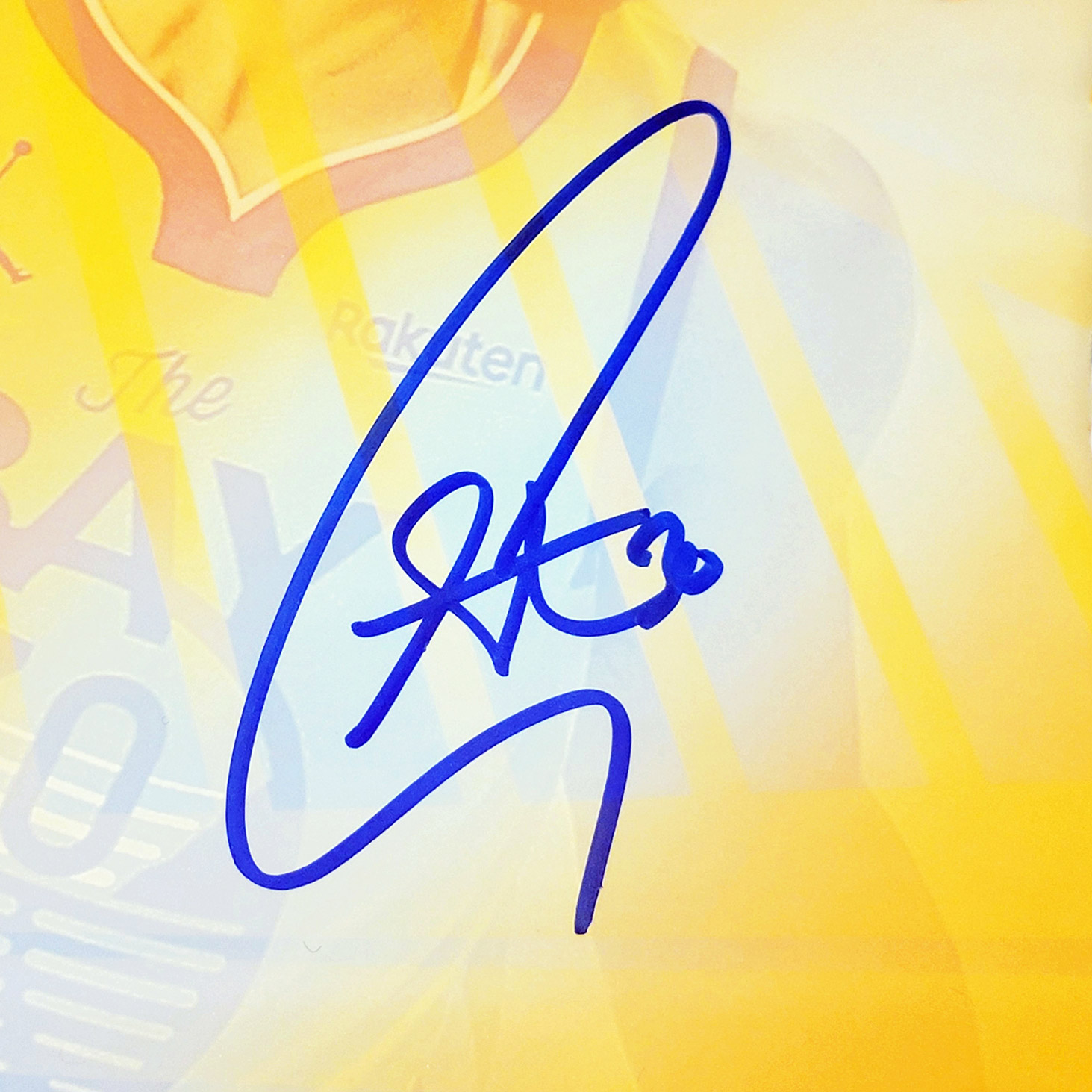 Enlarge Product Preview 3 Successfully Enriched by automation Job.