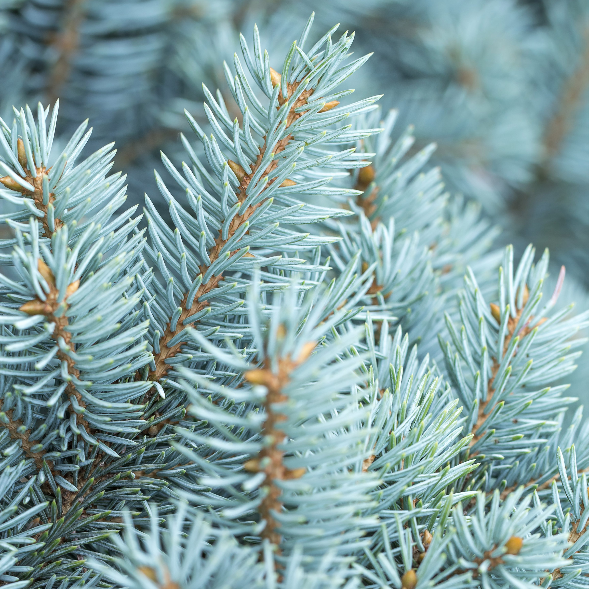 Enlarge Product Preview 2