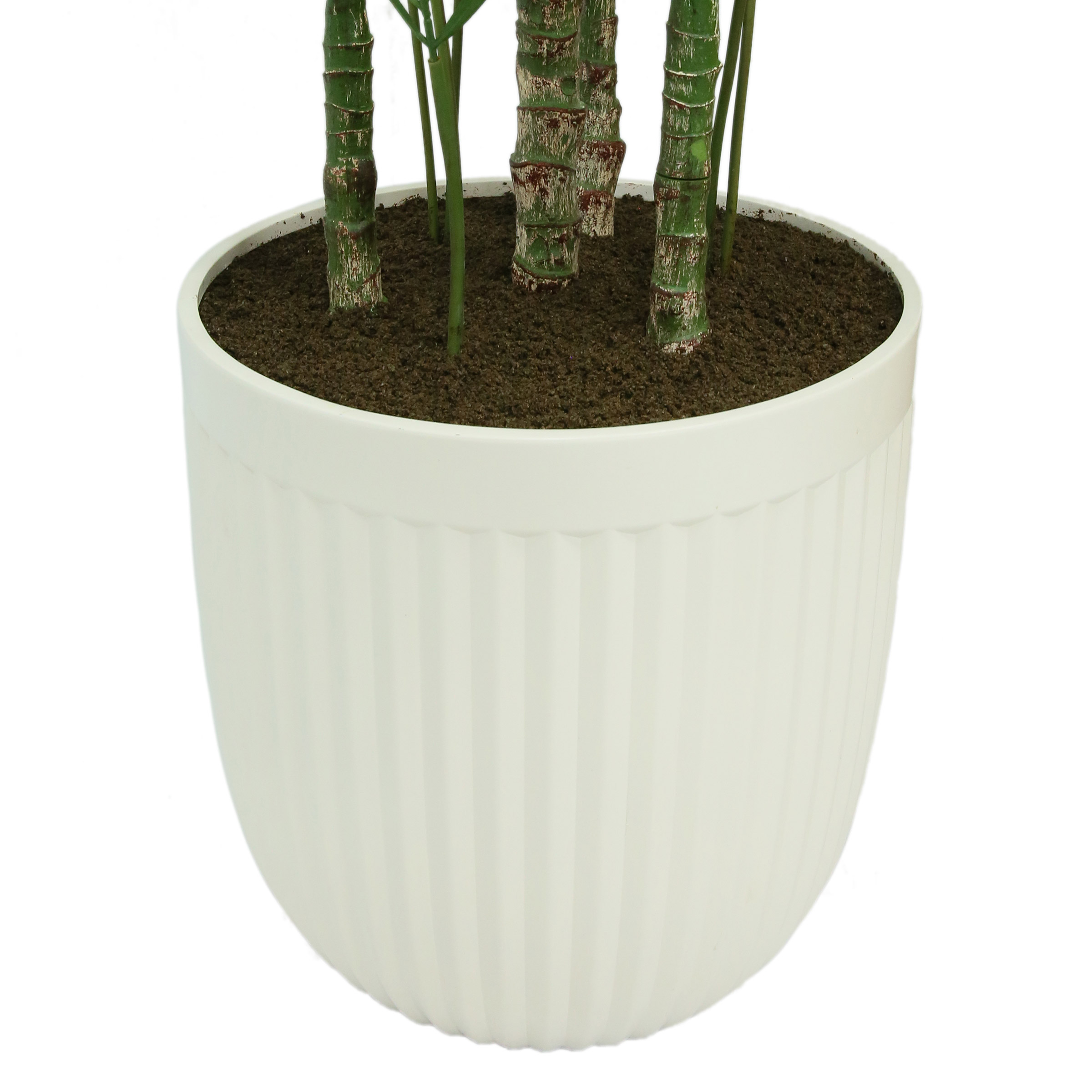 Enlarge Product Preview 5 1752945-847__5