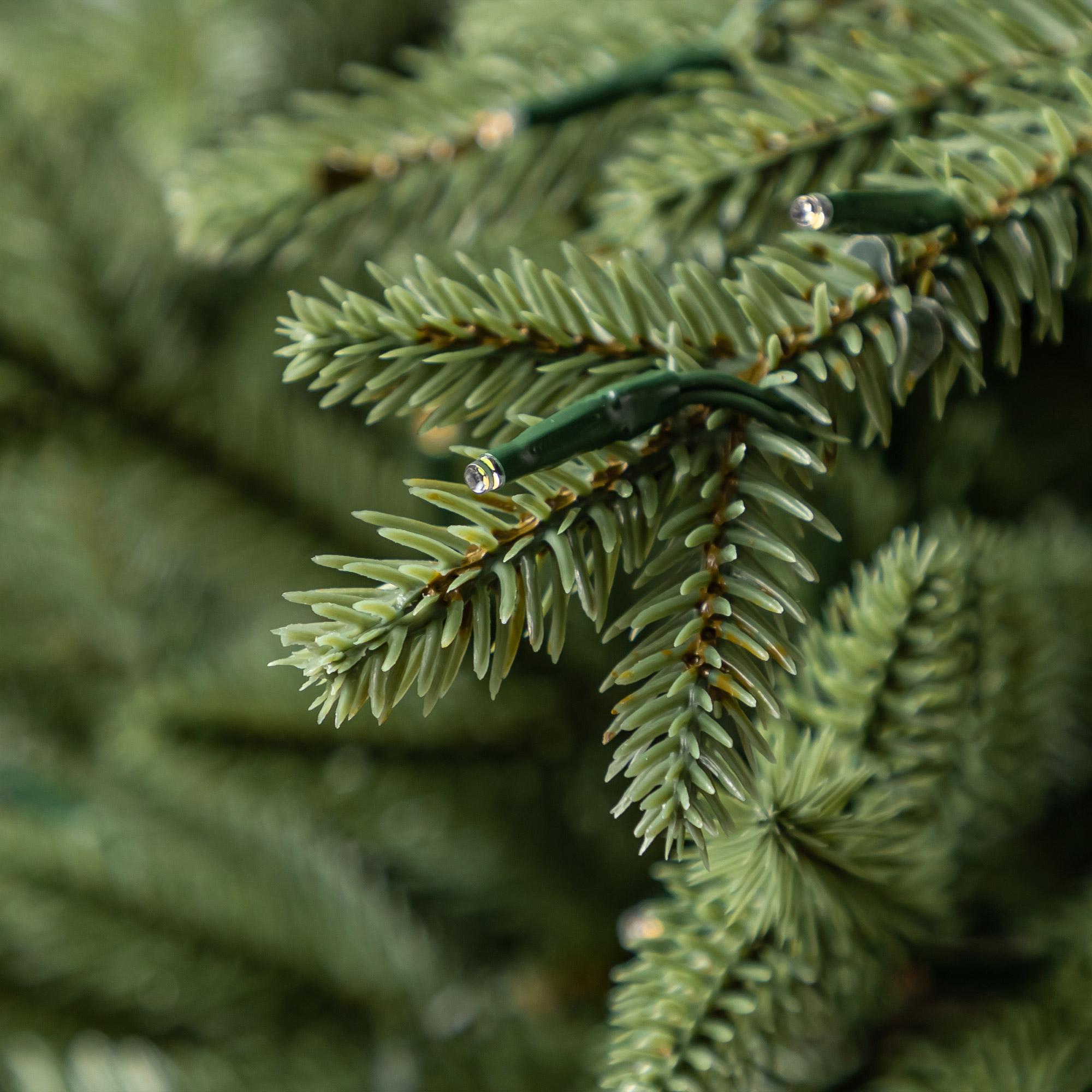 Enlarge Product Preview 8 Successfully Enriched by automation Job.