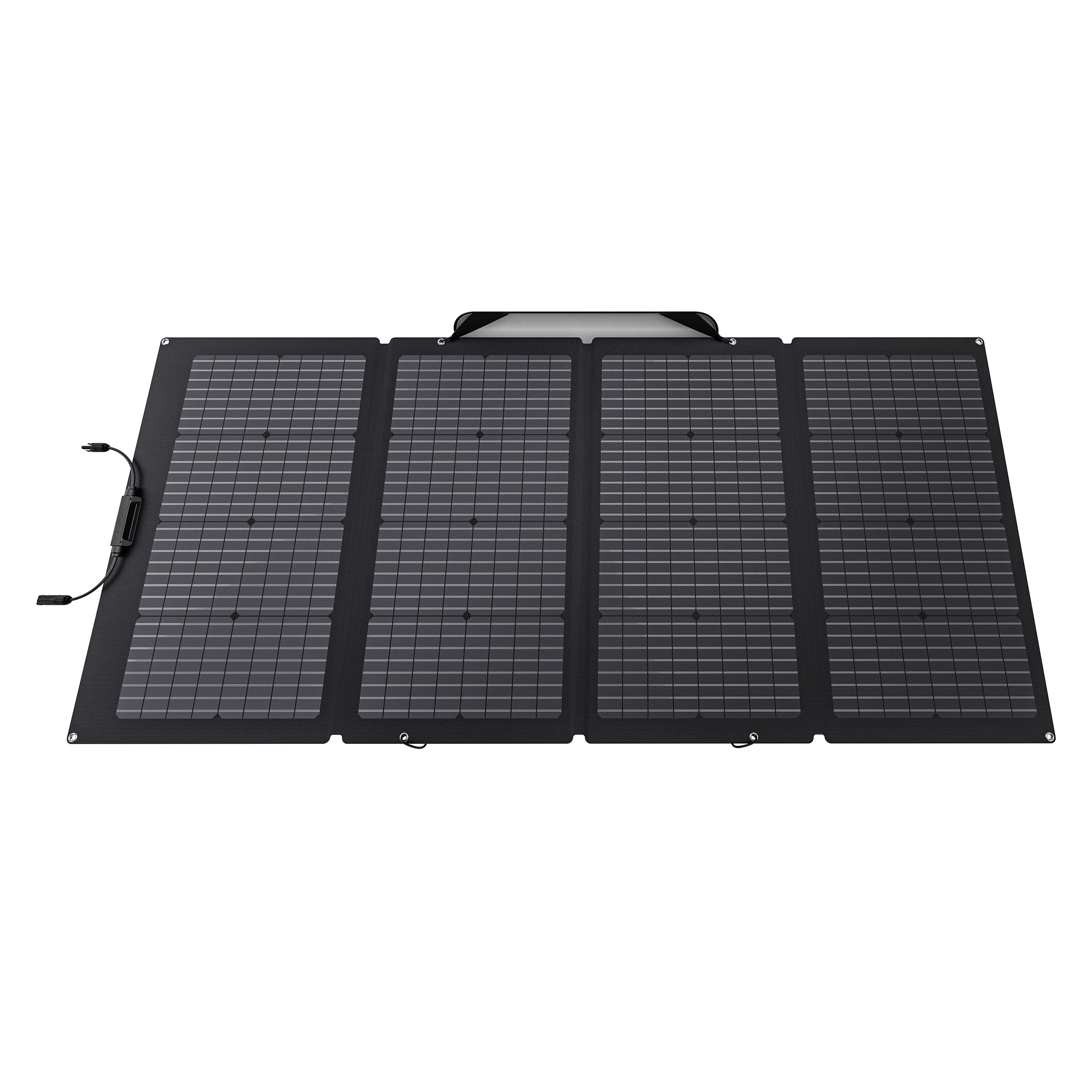 EcoFlow 220W Solar Panel