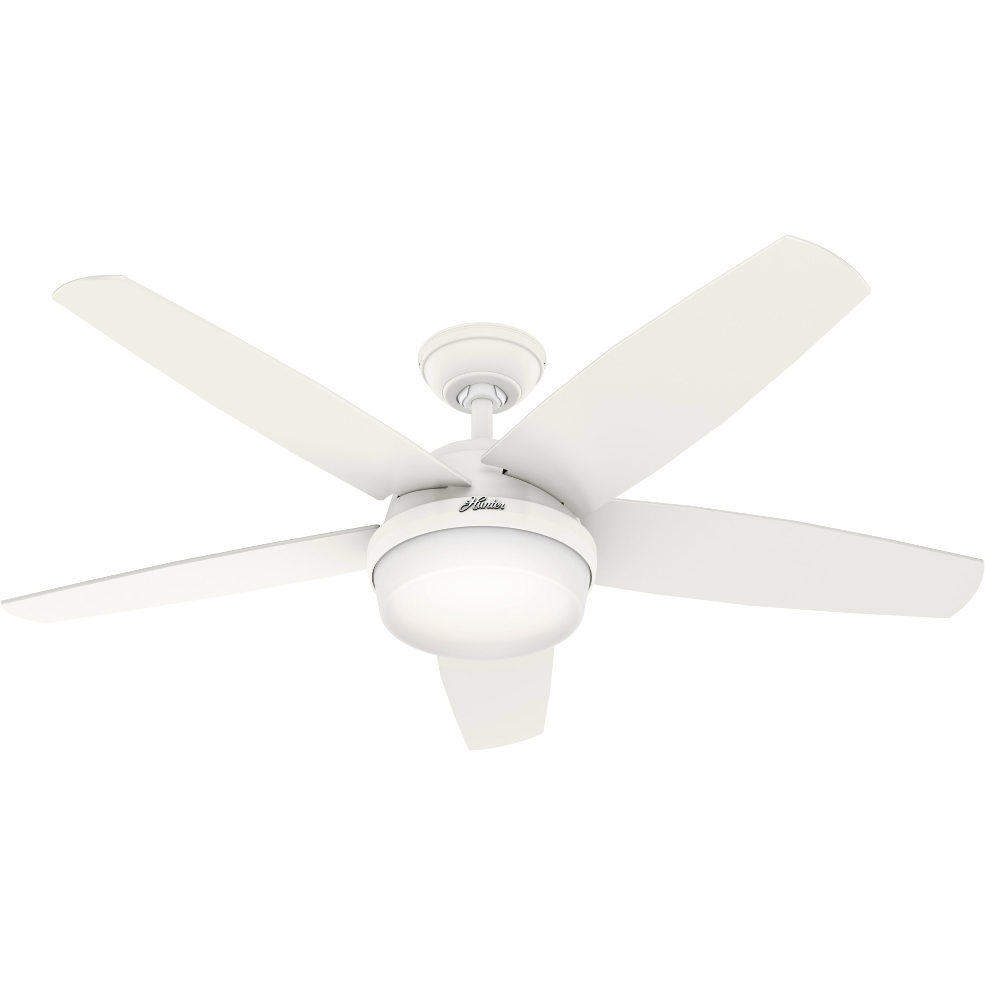 Contemporary Ceiling Fans With LED Lights