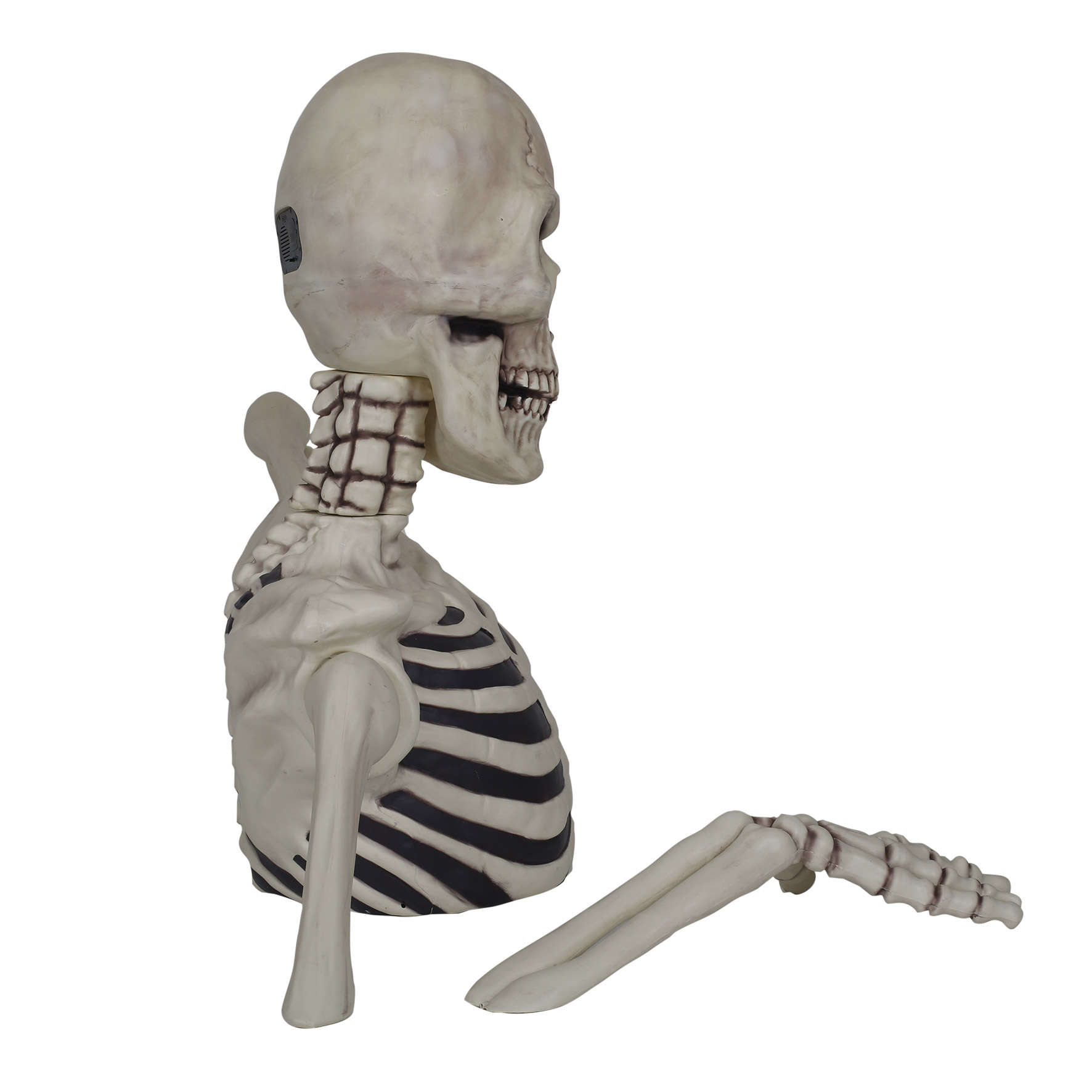 Enlarge Product Preview 5 Successfully Enriched by automation Job.