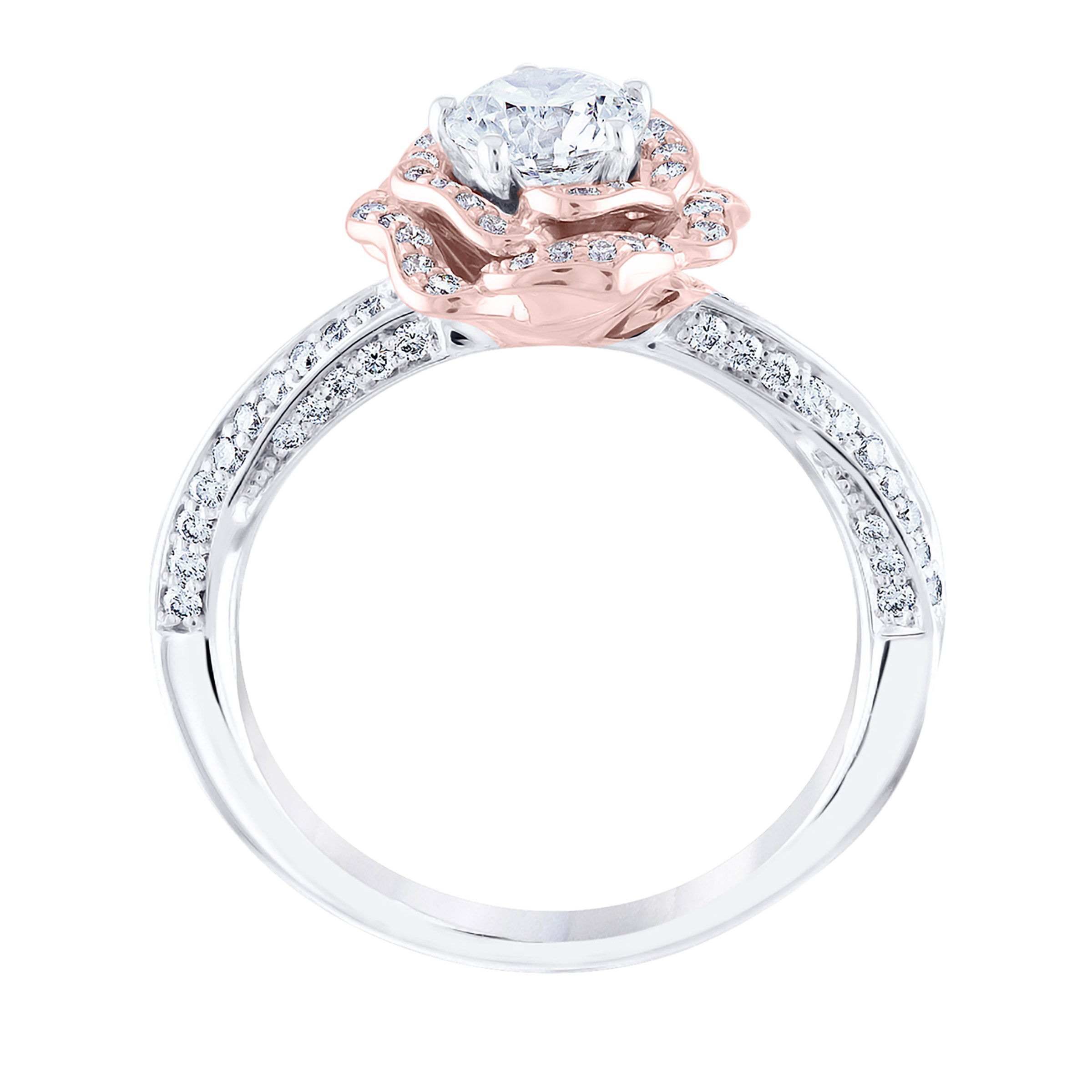 Enlarge Product Preview 3