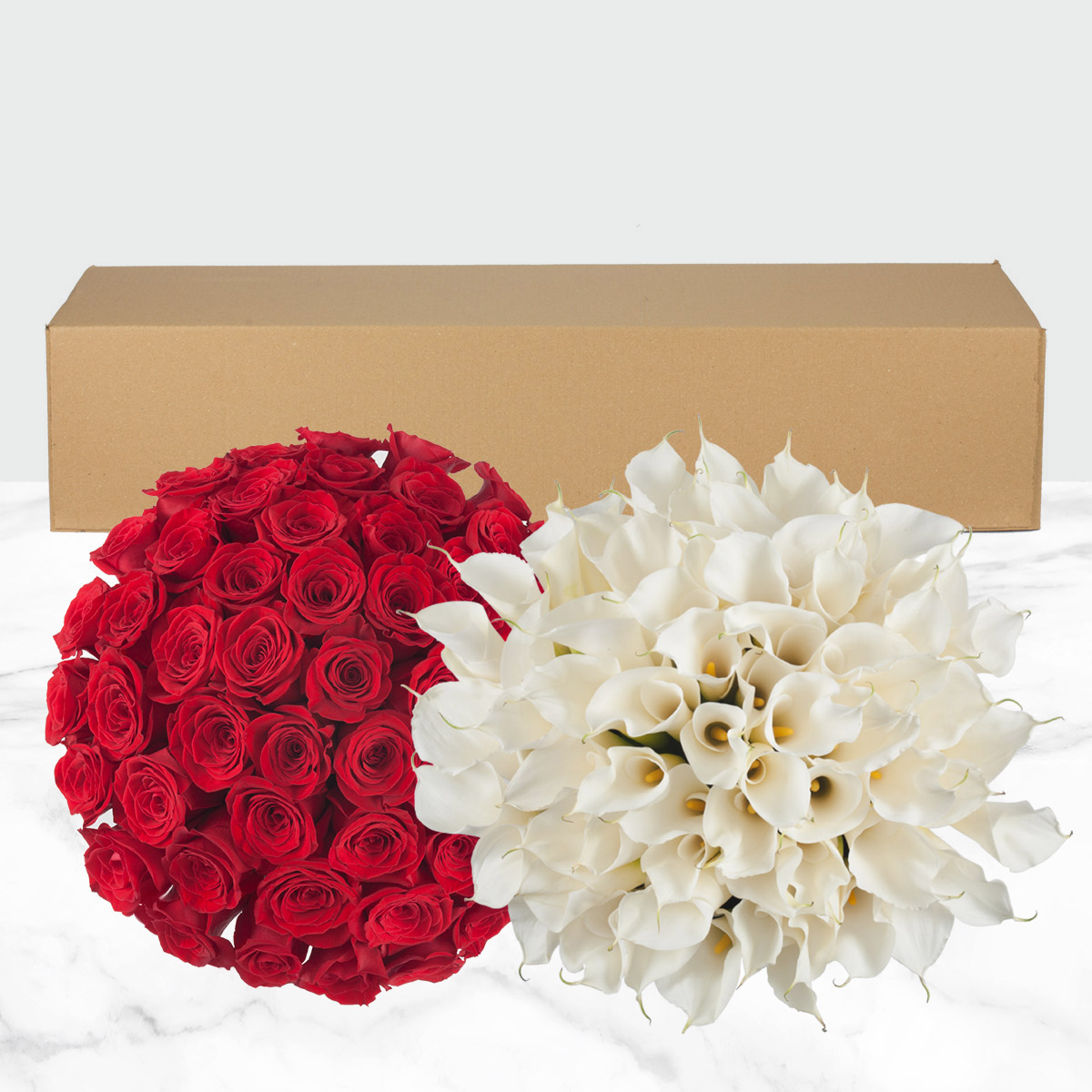 Enlarge Product Preview 2