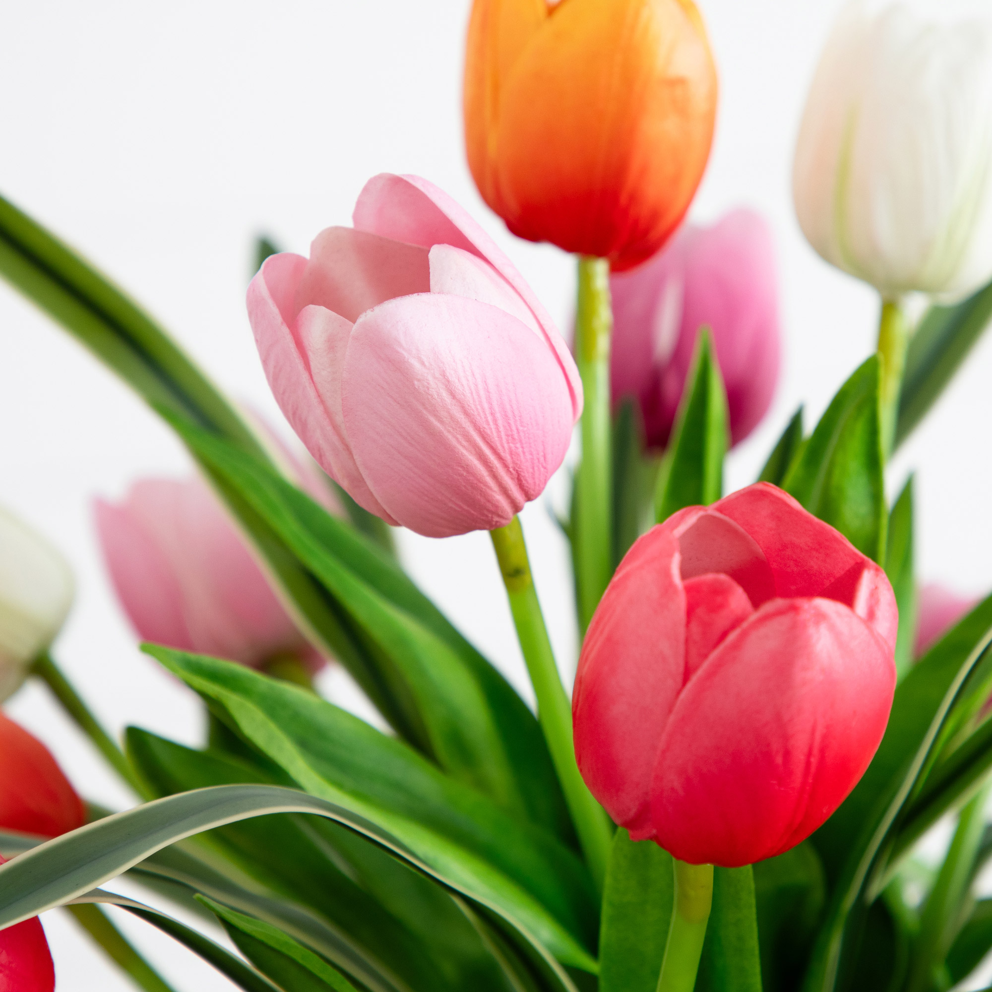 Enlarge Product Preview 5 Successfully Enriched by automation Job.