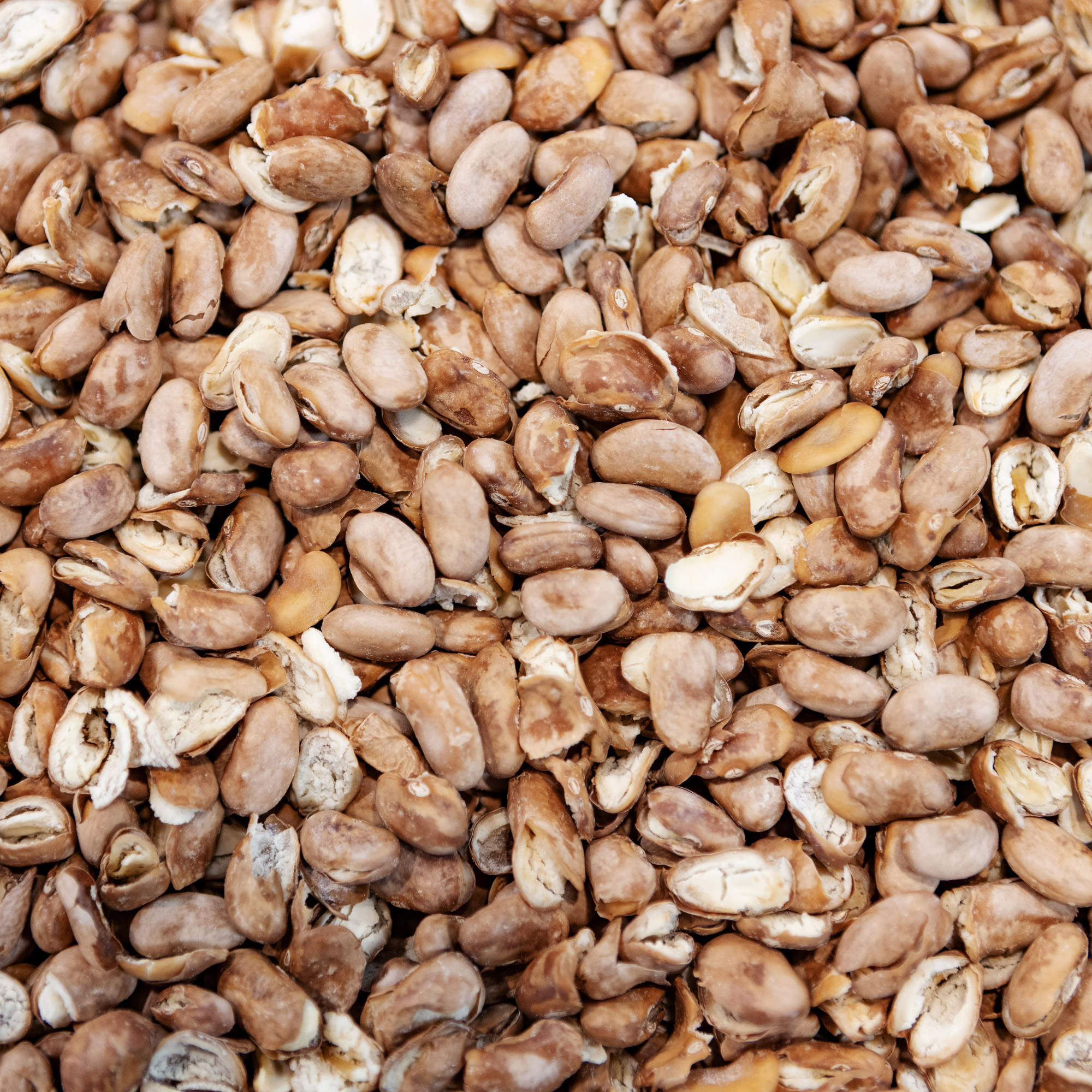 Enlarge Product Preview 7