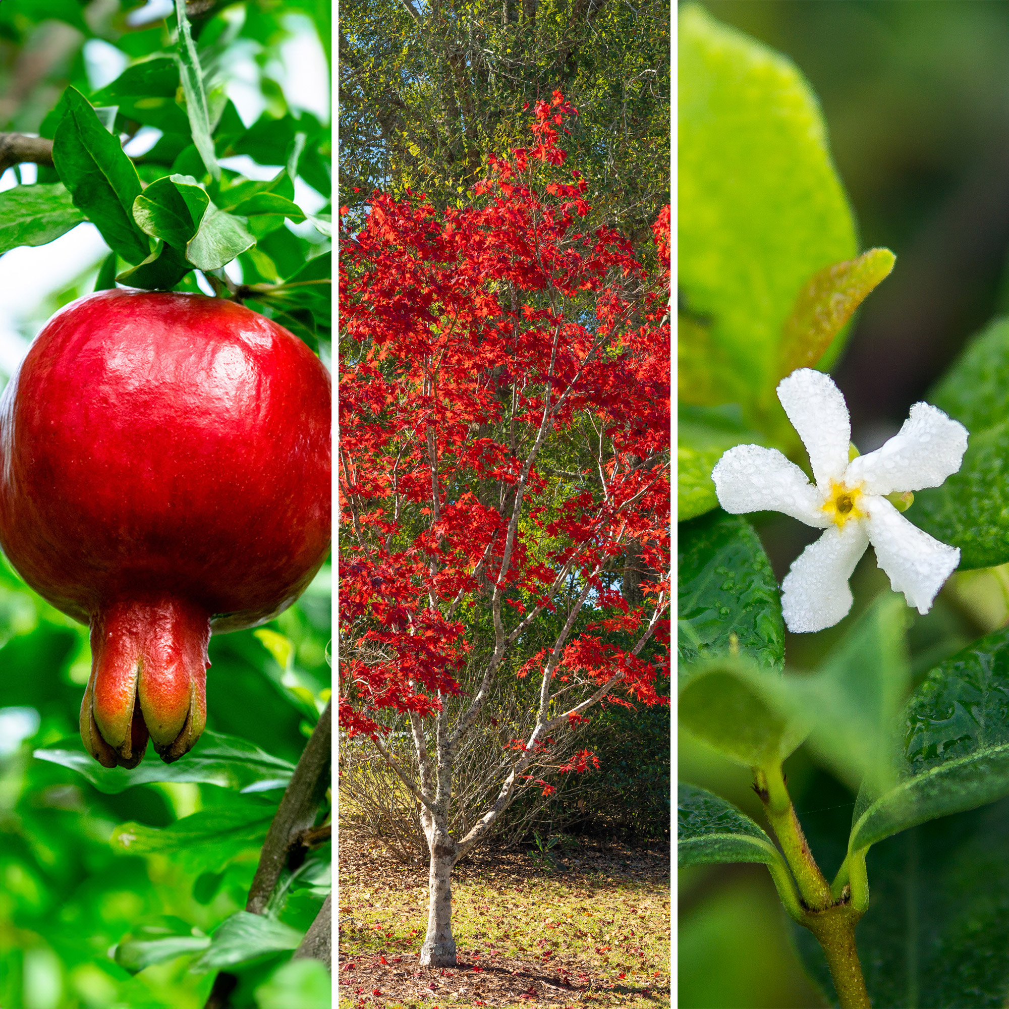 Enlarge Product Preview 3