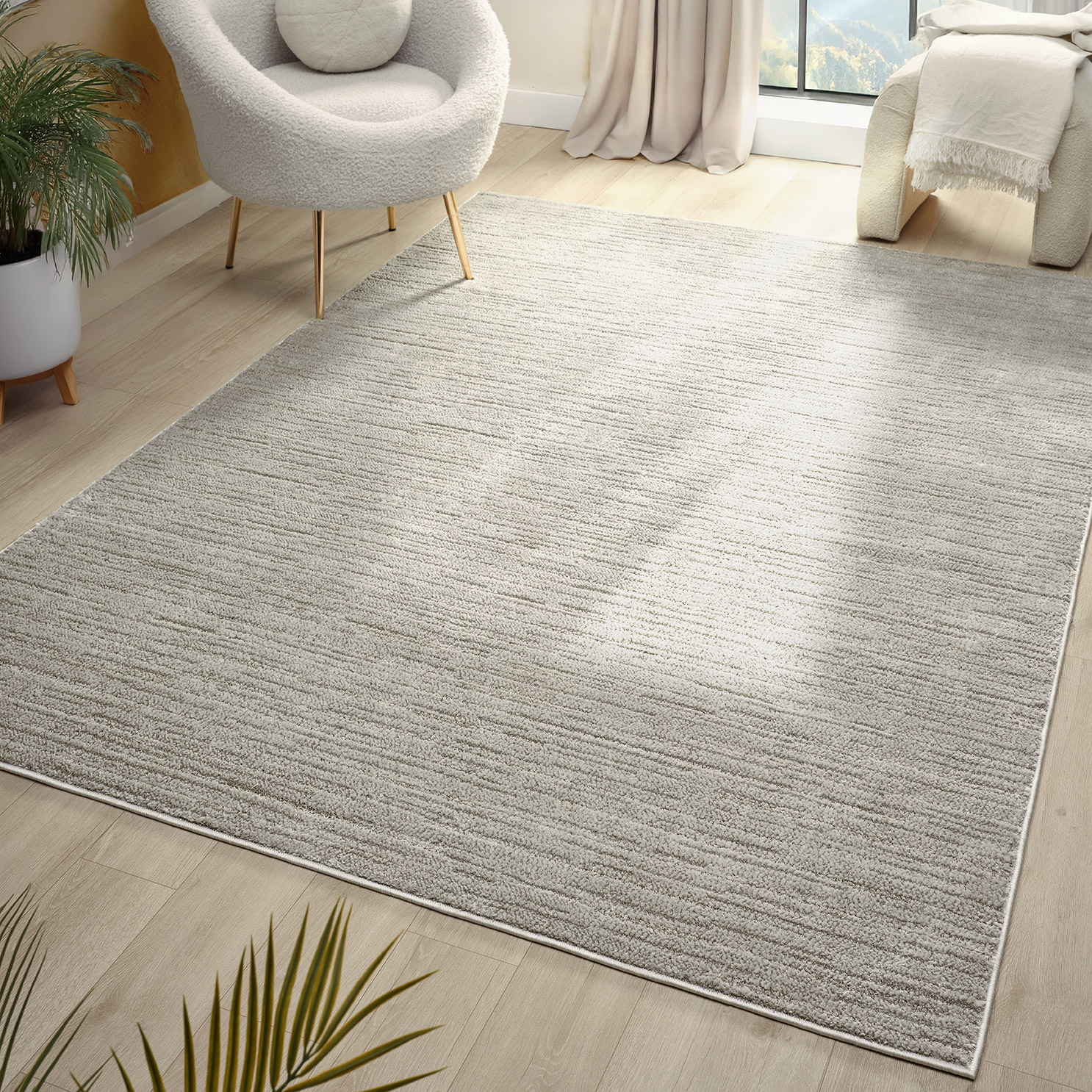 Segma Colorado Collection Indoor Area Rug