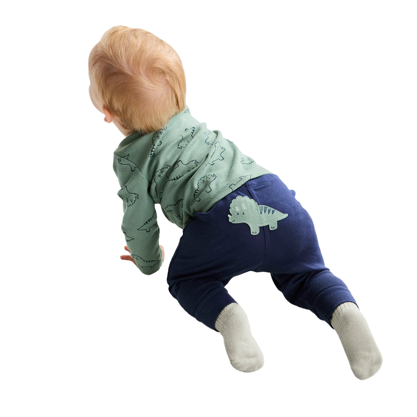 Enlarge Product Preview 2 Successfully Enriched by automation Job.