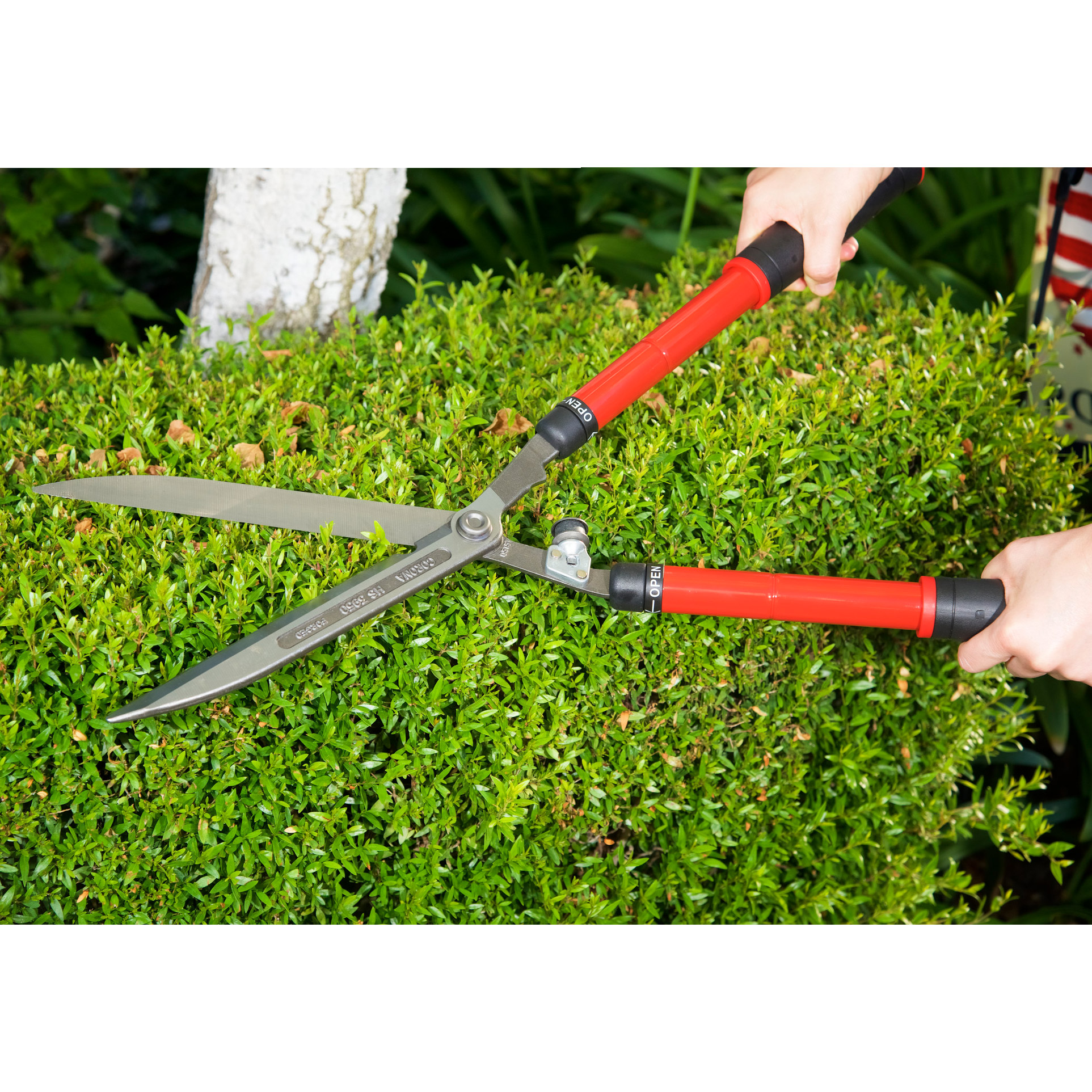 Enlarge Product Preview 3