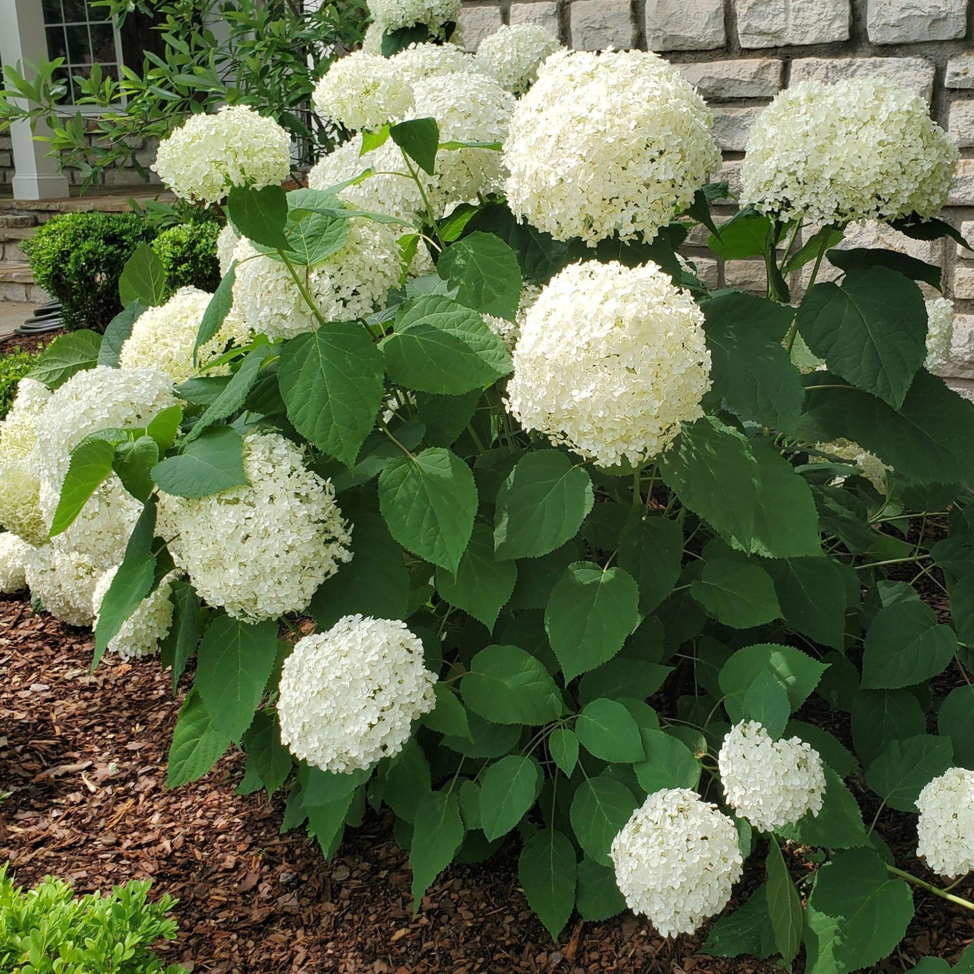 Enlarge Product Preview 9