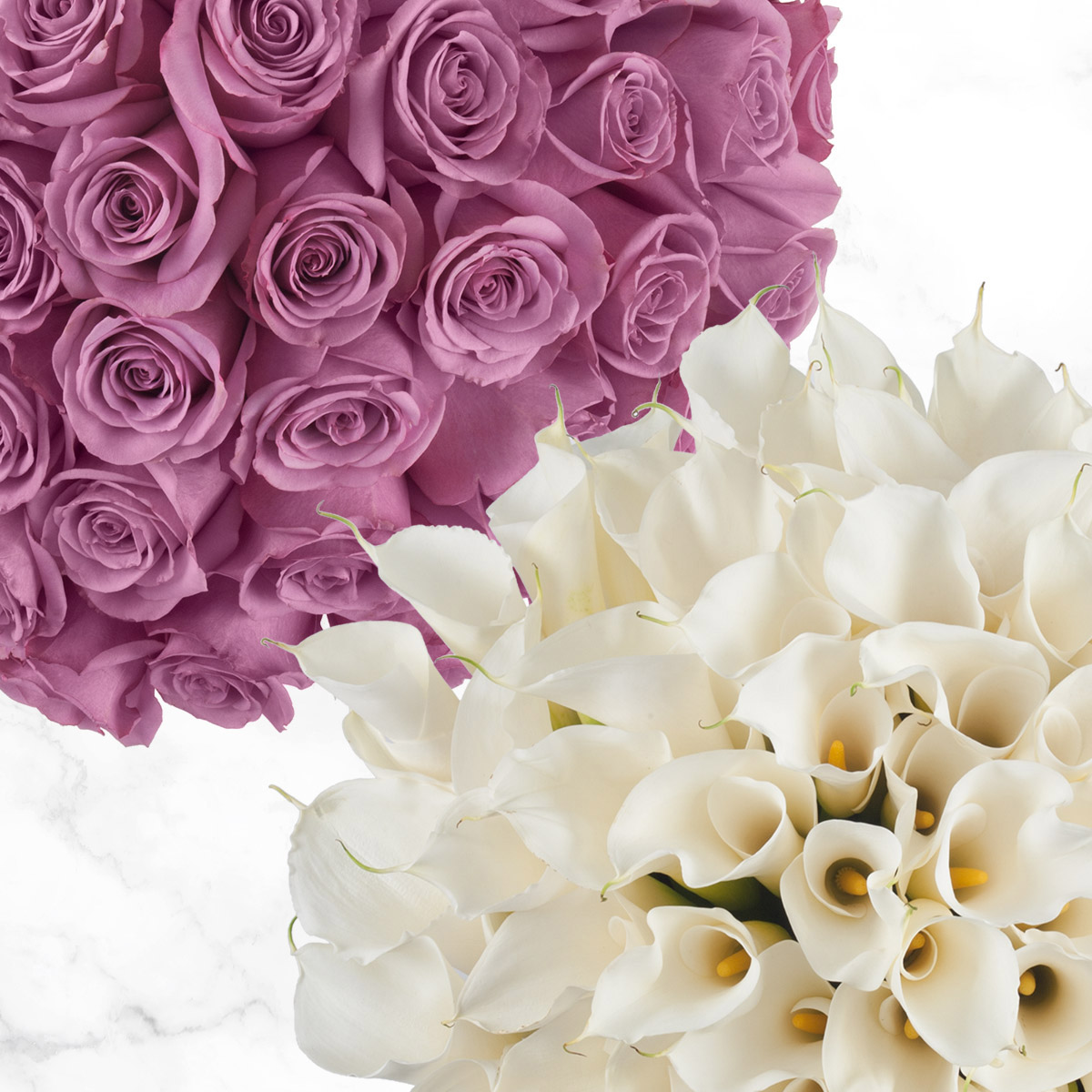 Plants For Mothers Day Gifts