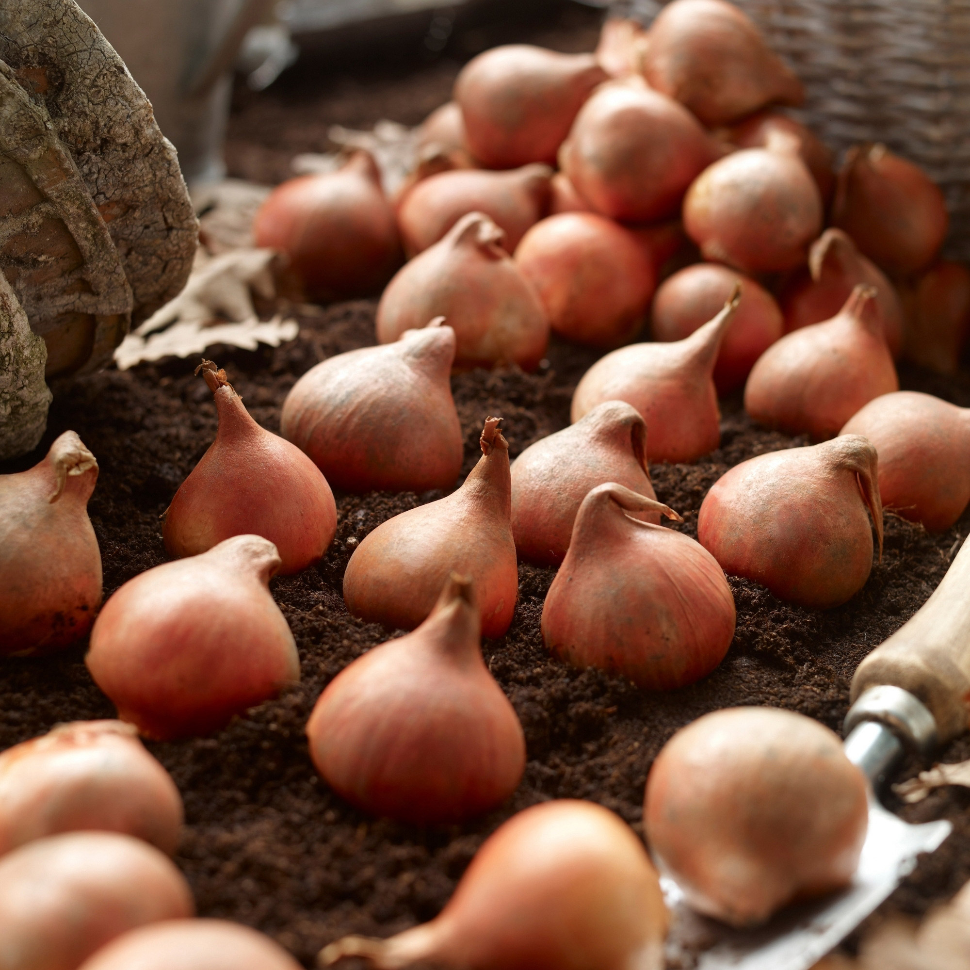 Enlarge Product Preview 6